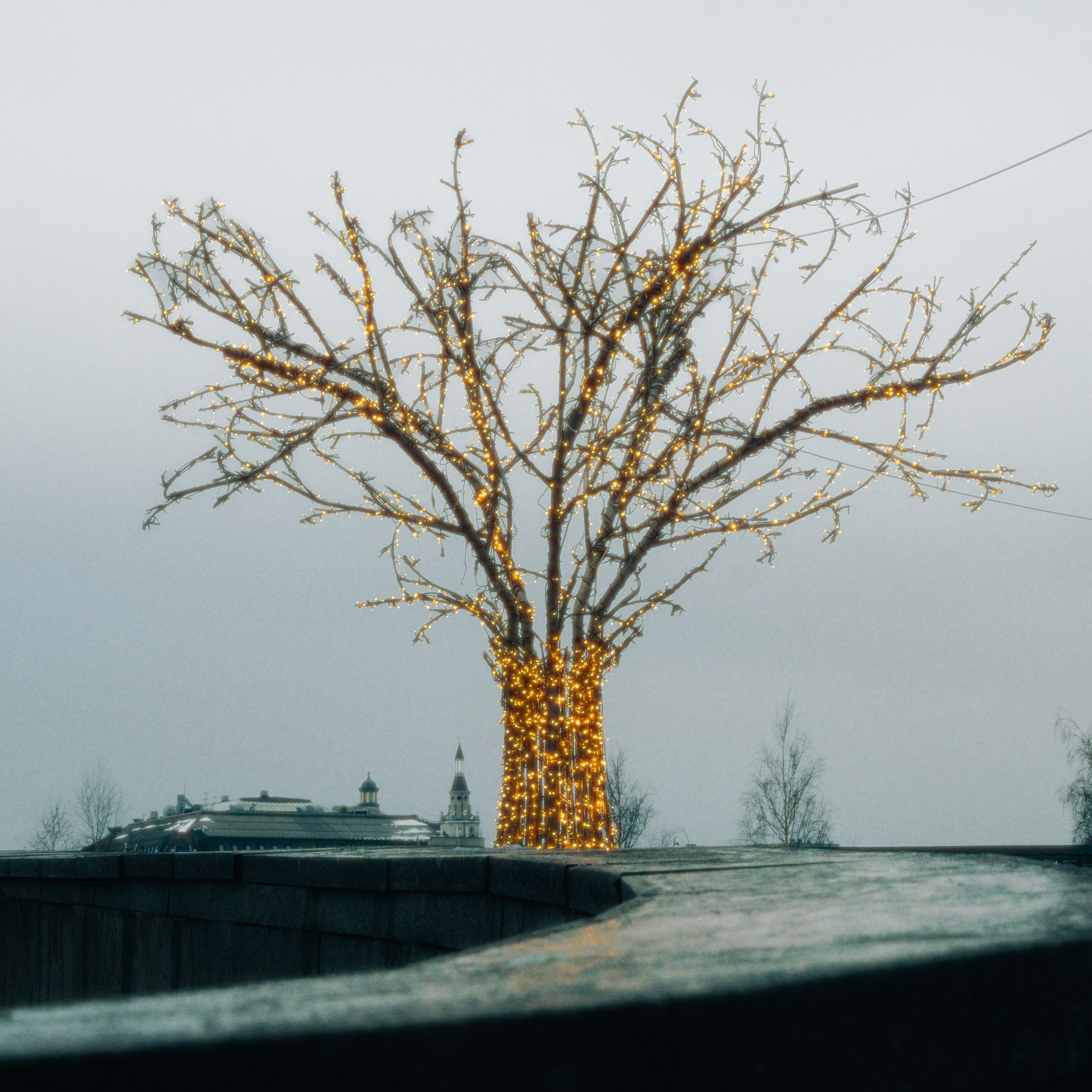 Уличная фотография каждый день