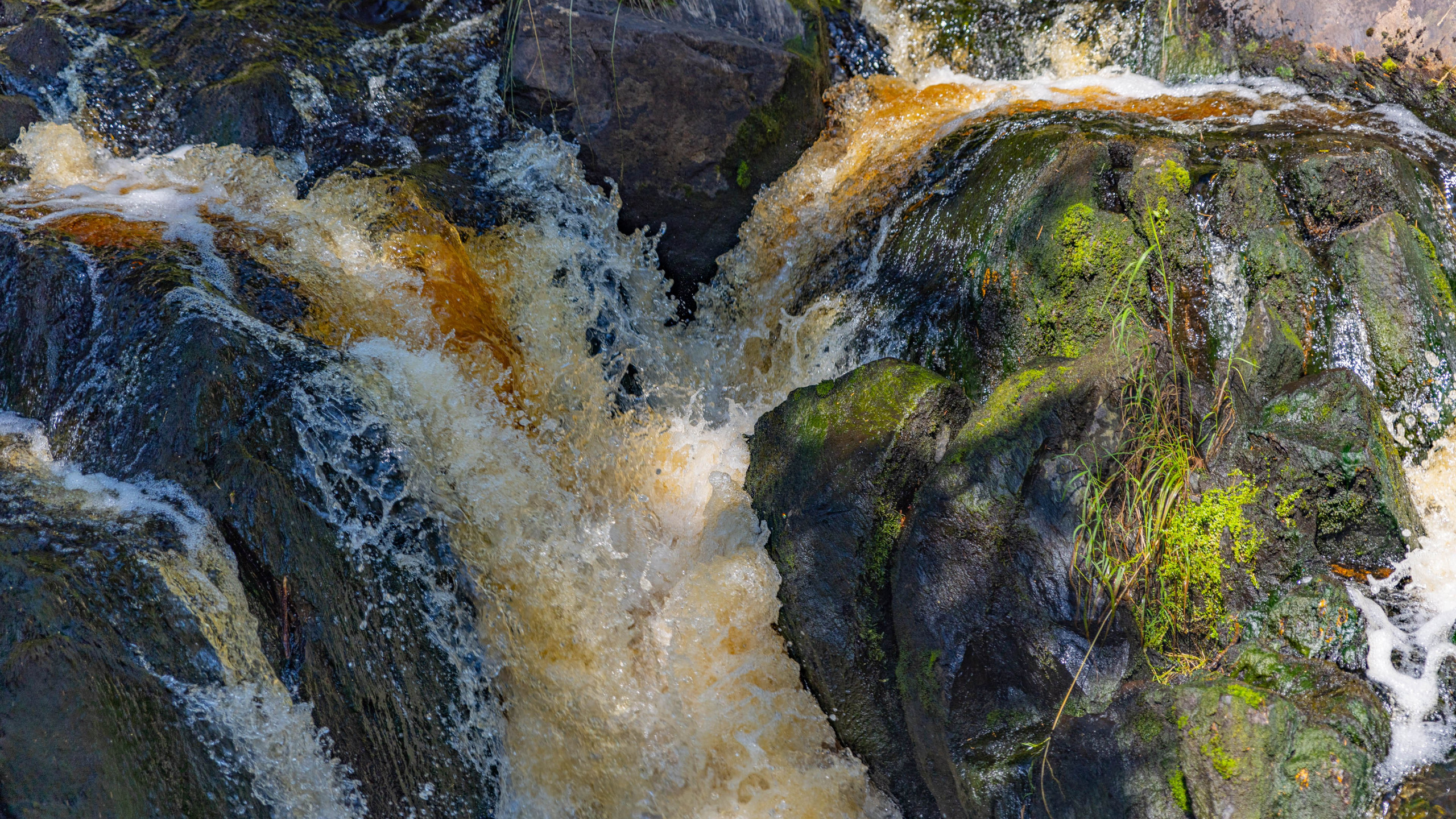 2025 07 Выборг — Сортавала — Великий Новгород — Псков. Фотографии