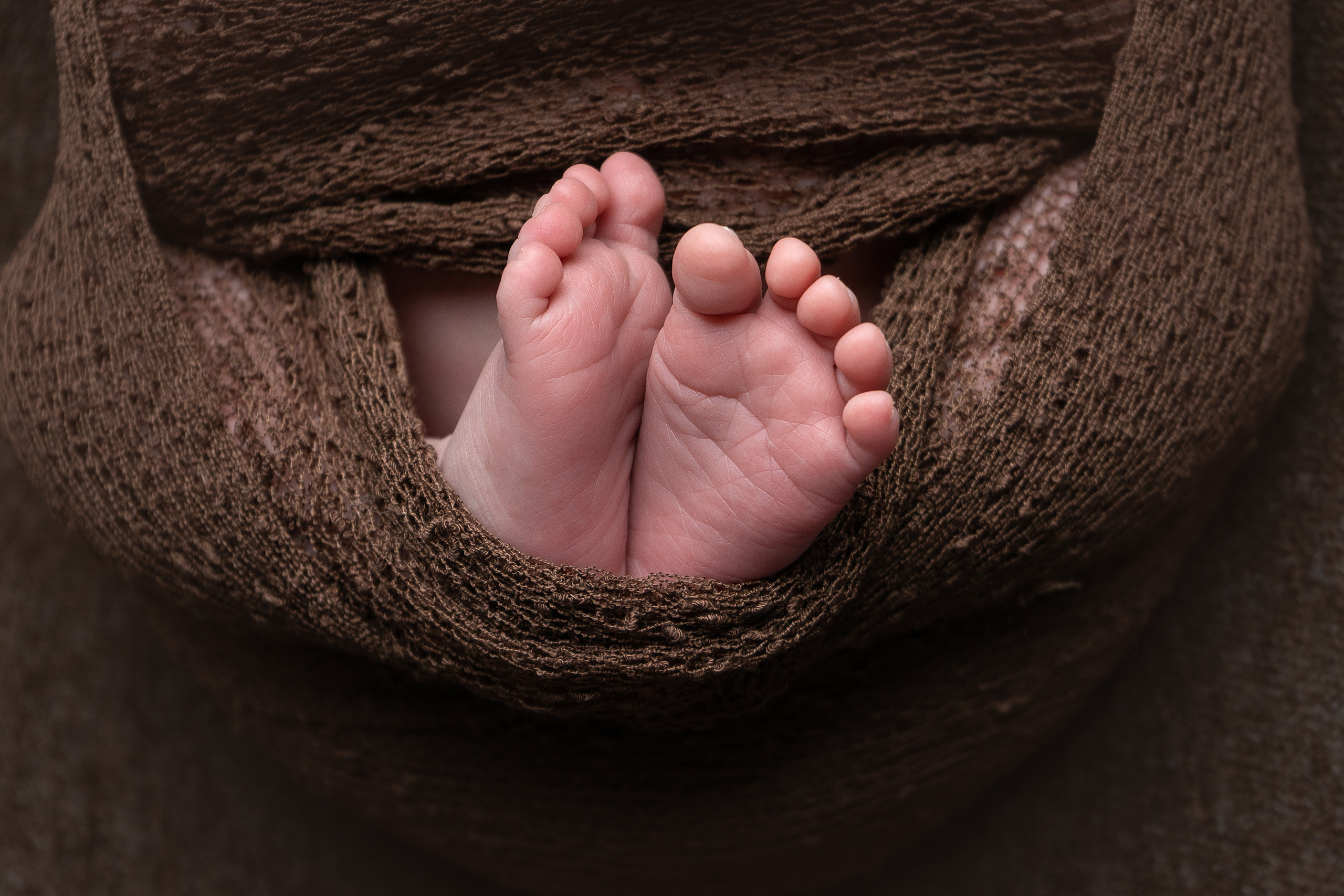 Новорожденные. Фотограф в Новосибирске