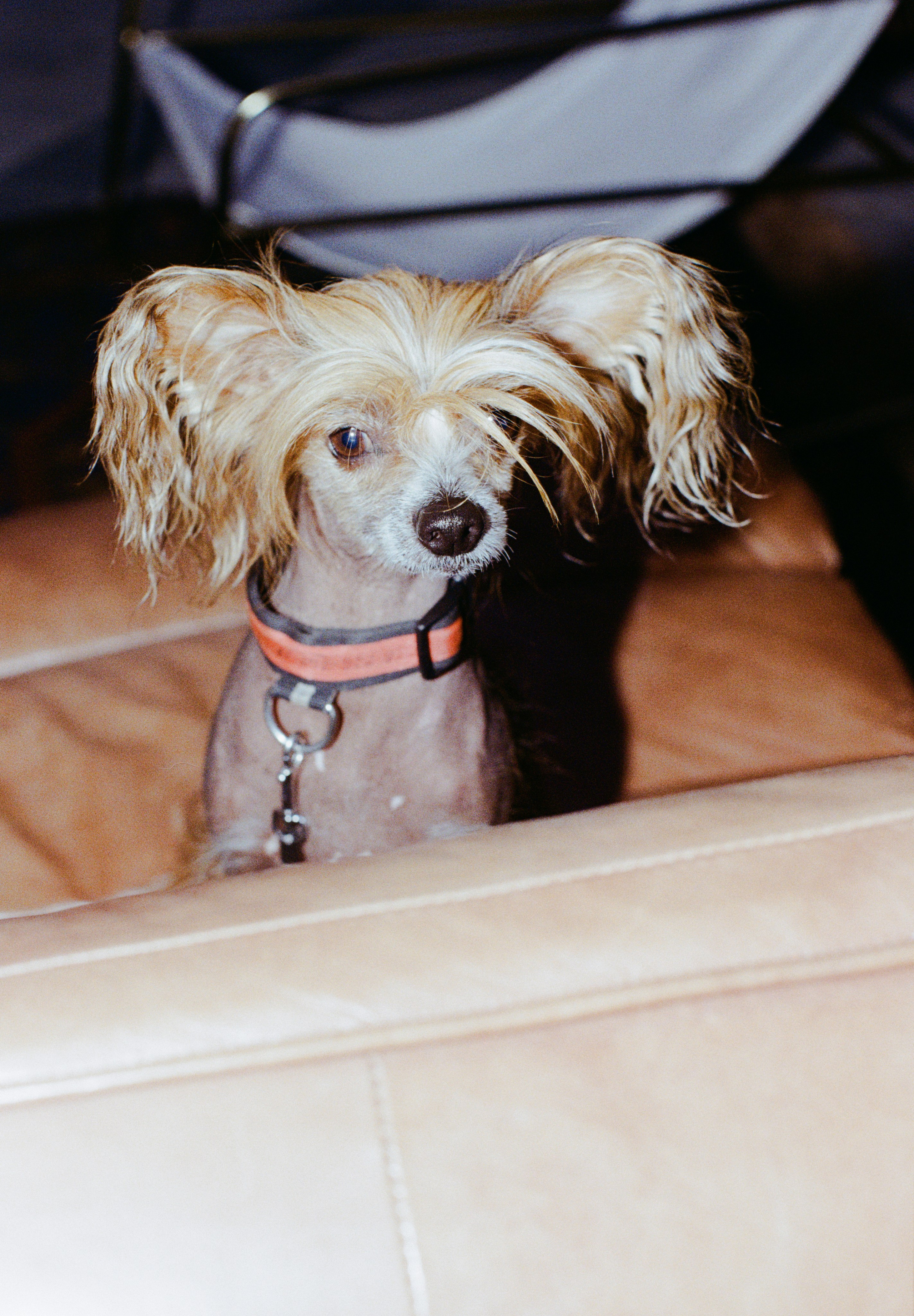 Party like a Moscow. Портретный и ивент-фотограф в Москве