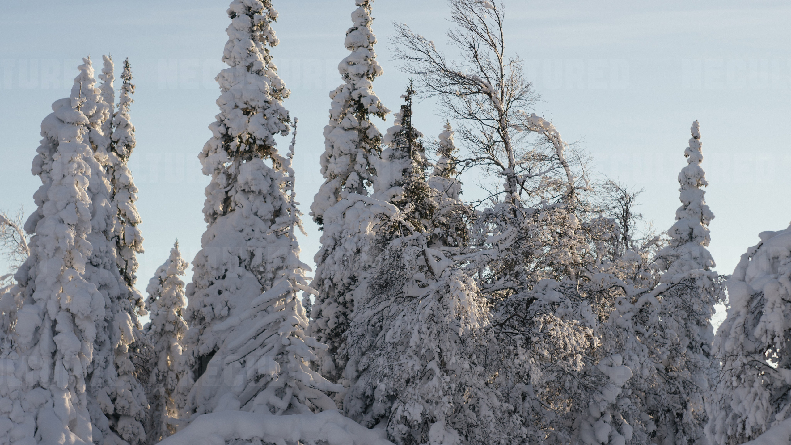 Фотосессии в путешествии. Пленочный фотограф в Москве | Necultured