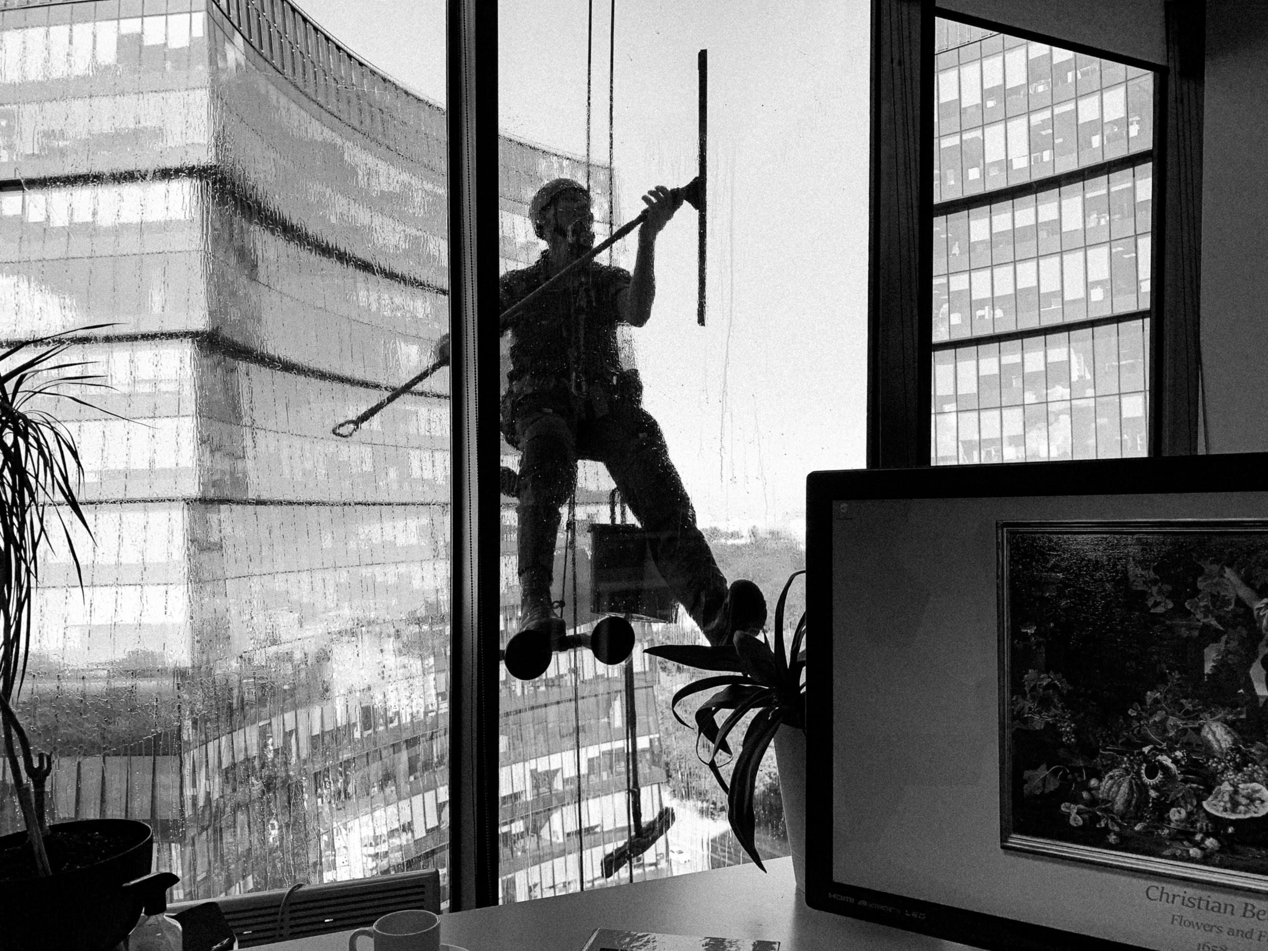 Почти белый воротничок. Photographer Pavel Romashchenko