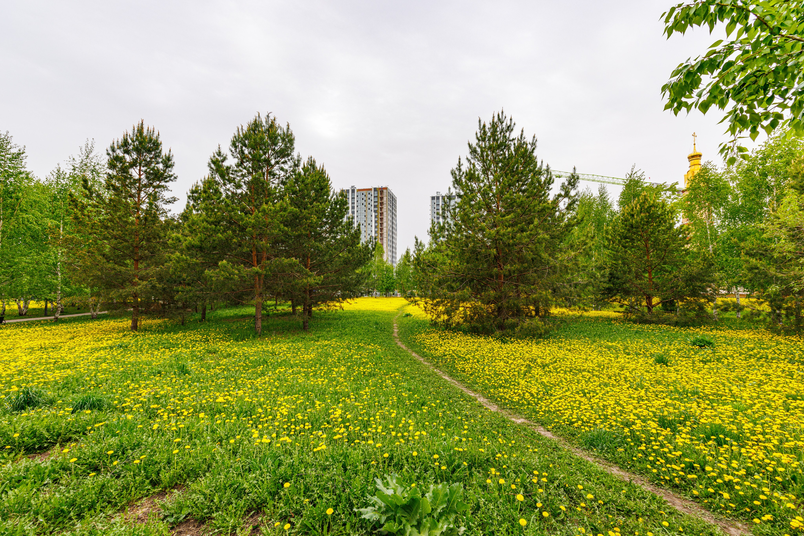 Пейзаж. Фотограф в Нижнекамске