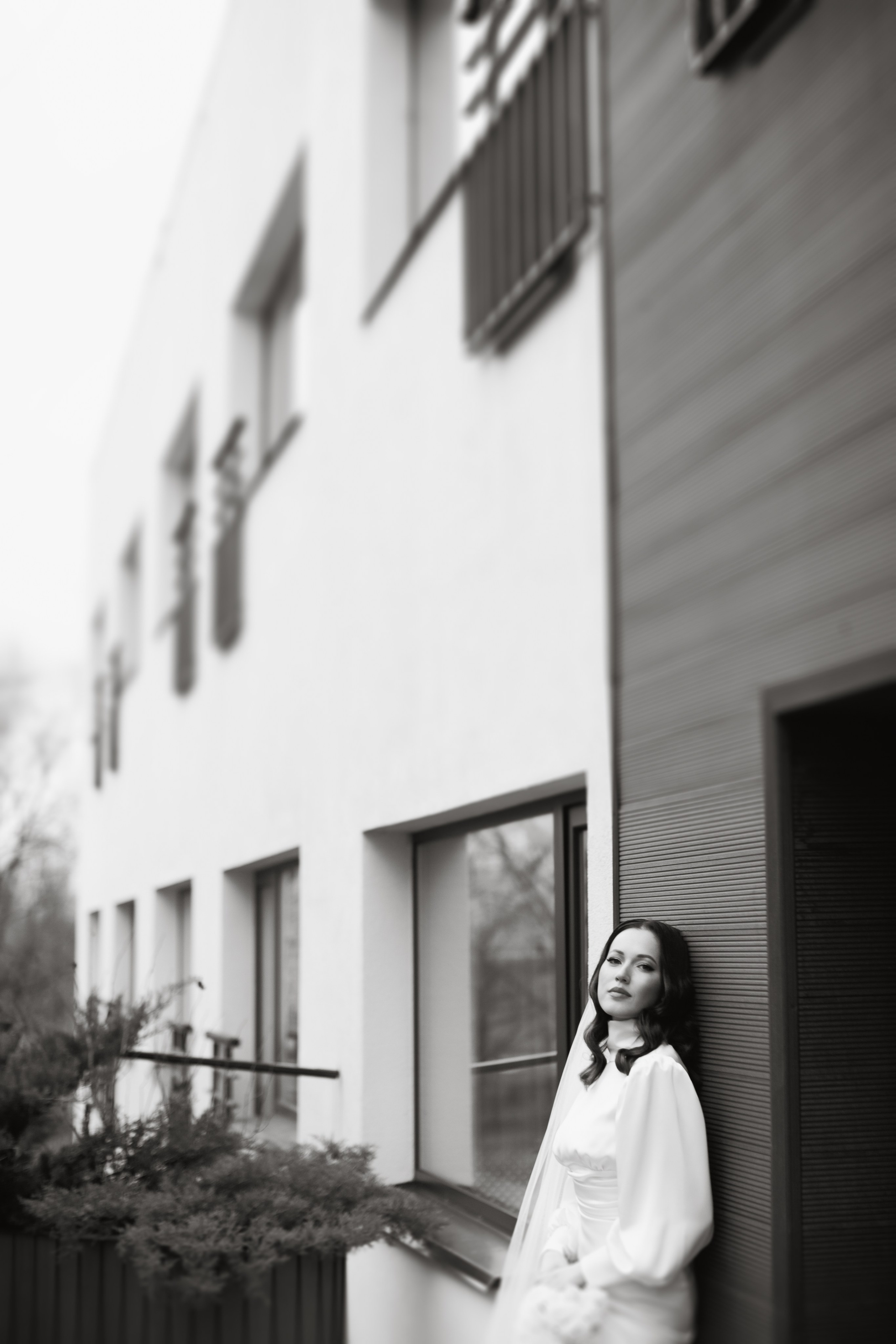 12/11/23. Фотограф НатаФото (Наталья Яковенко) Дмитров Москва Питер