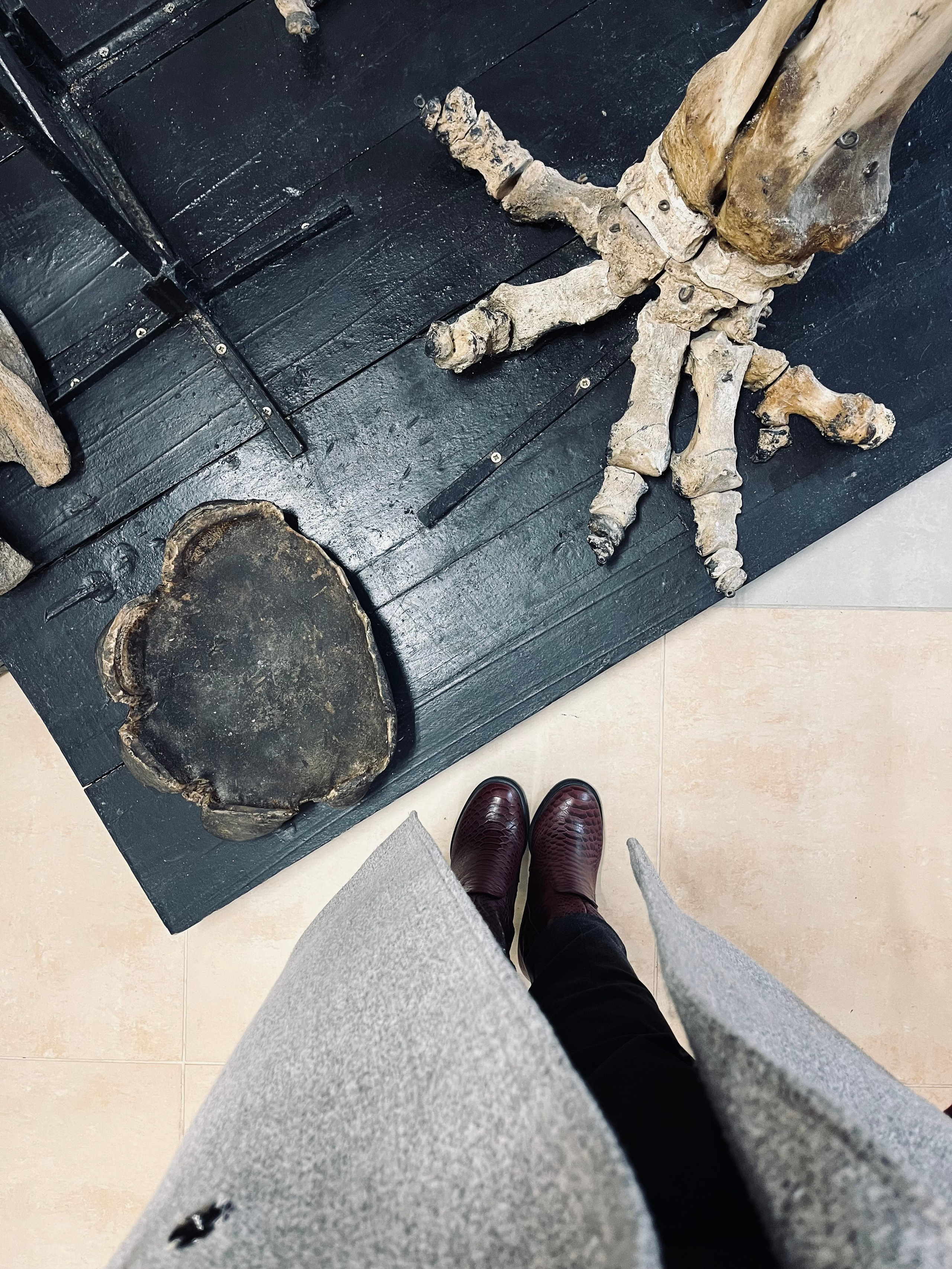 Конференции/Форумы/Выставки 2025. МОТОШКОЛА в городе Витебске. Обучение категории А и А1