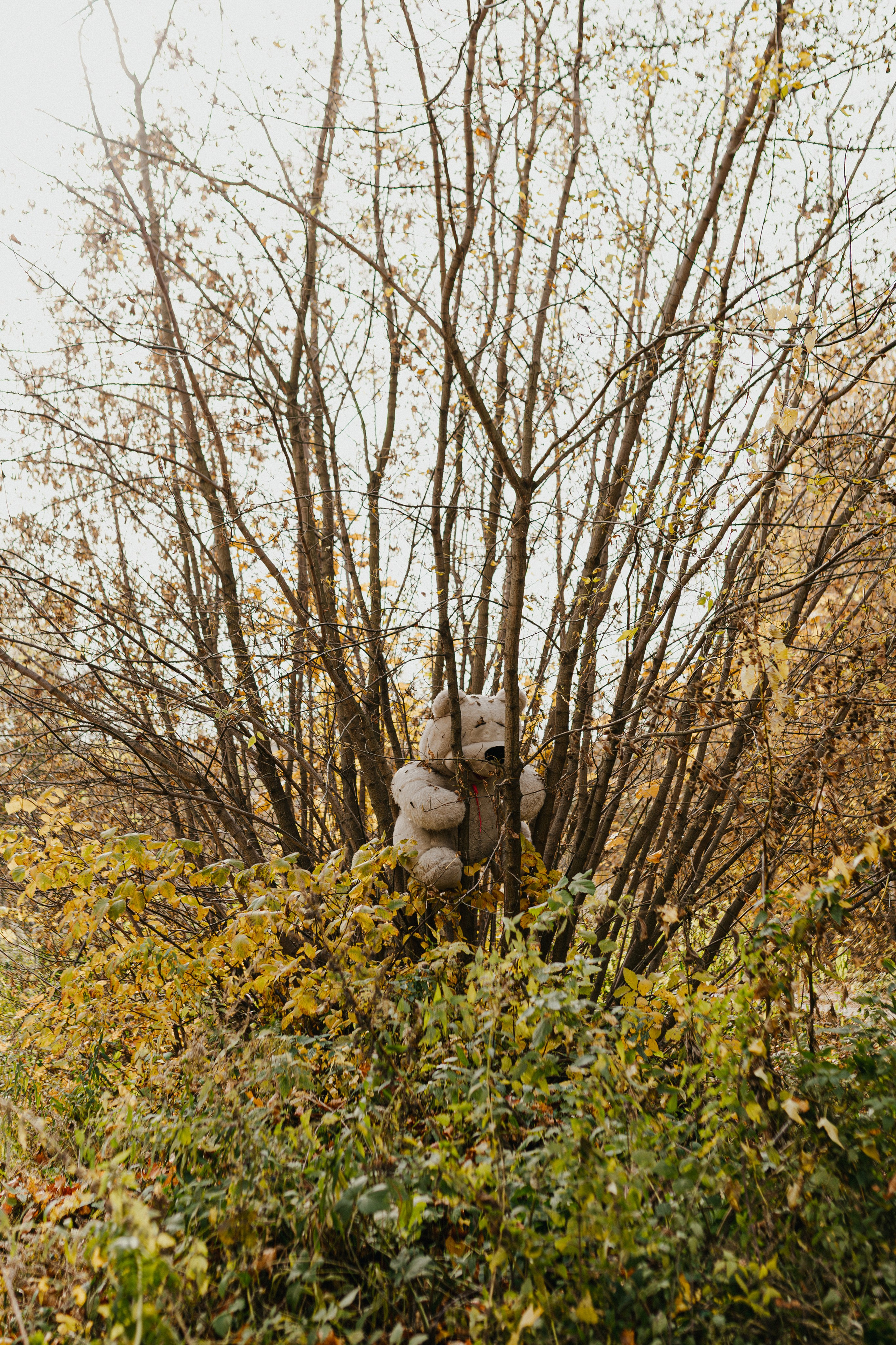 Свадьба Лены и Миши. Свадебный и семейный фотограф Женя Добрянская в Нижнем Новгороде