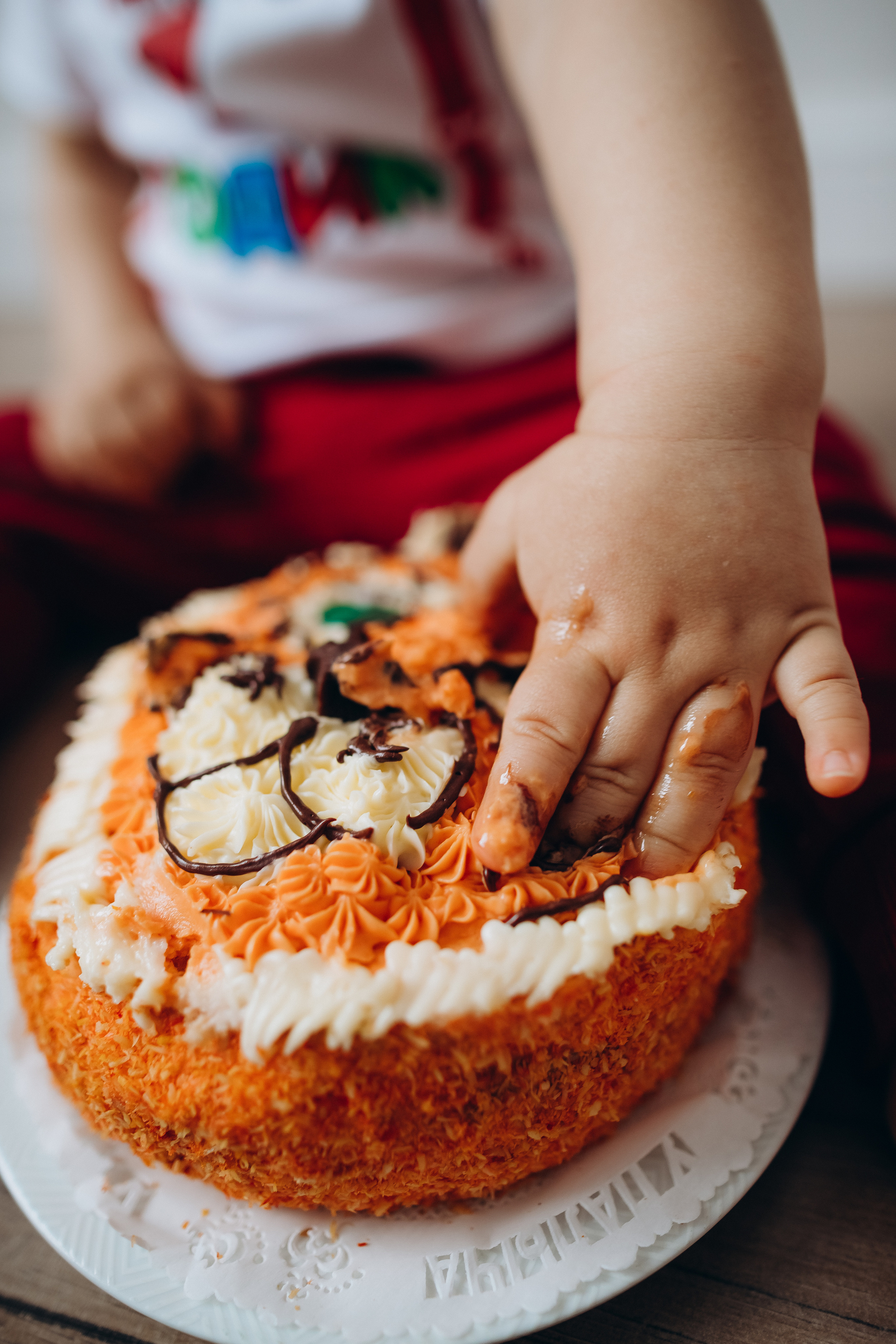 Льву 1 годик. Фотограф Карпачан Анастасия
