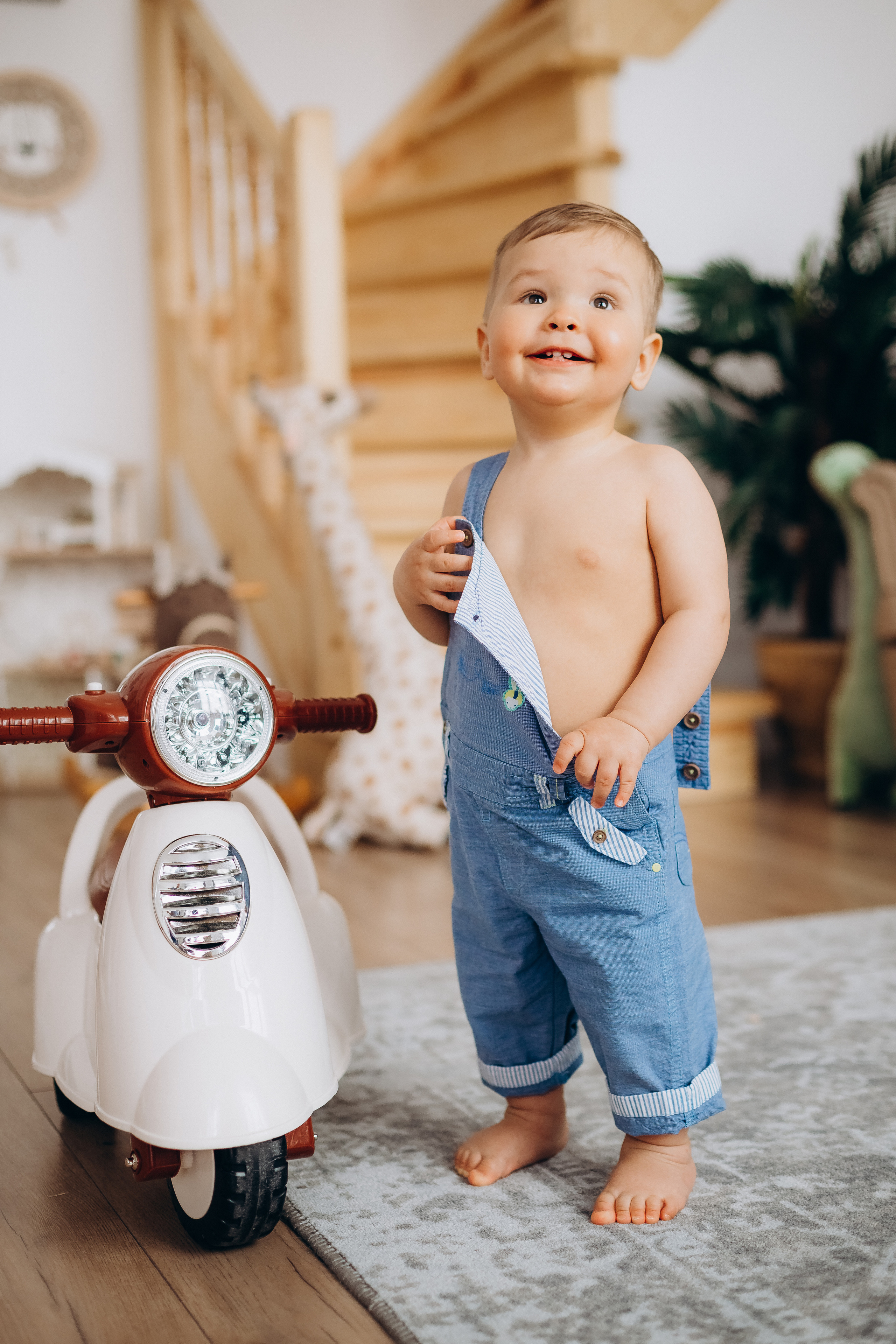 Льву 1 годик. Фотограф Карпачан Анастасия
