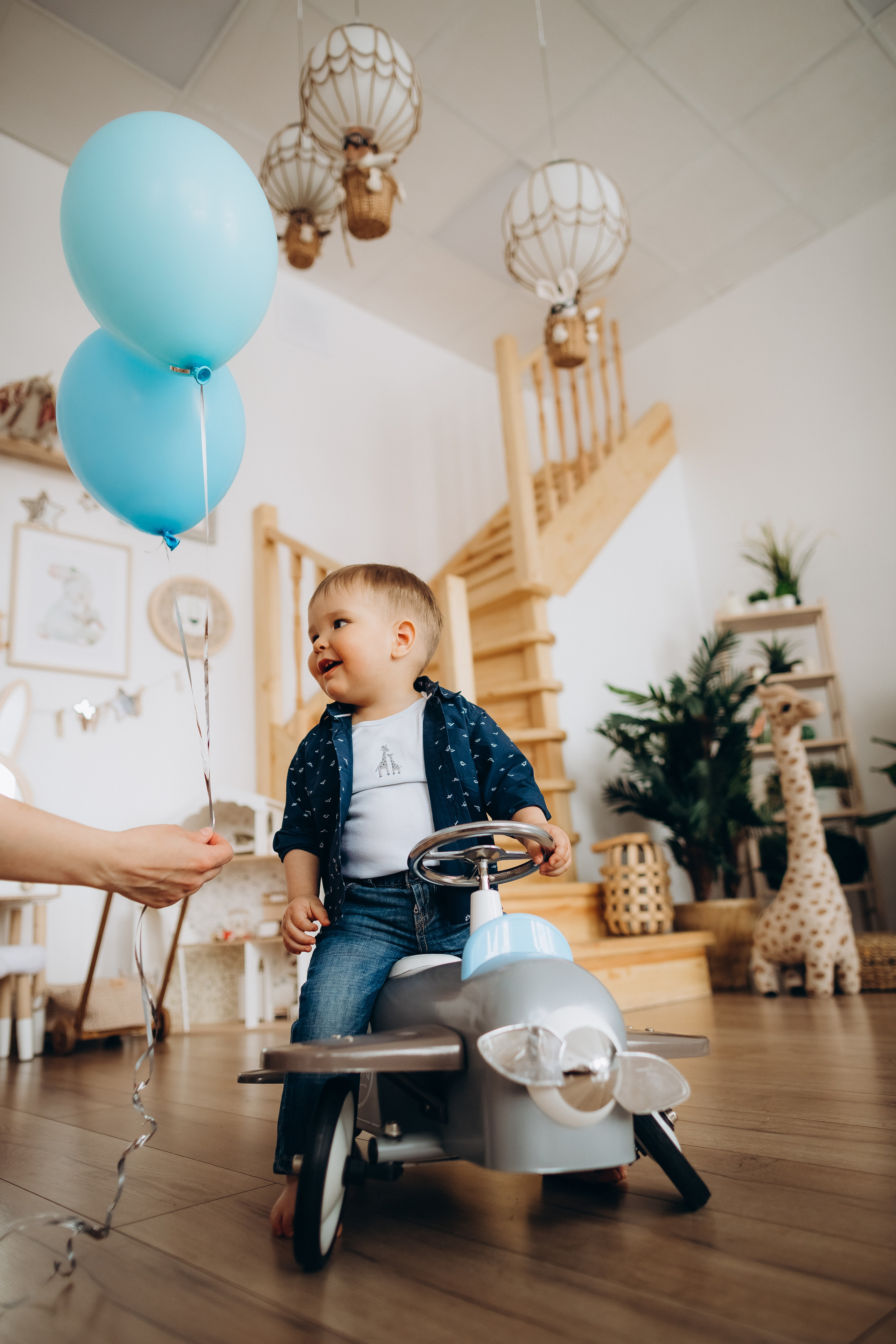 Льву 1 годик. Фотограф Карпачан Анастасия
