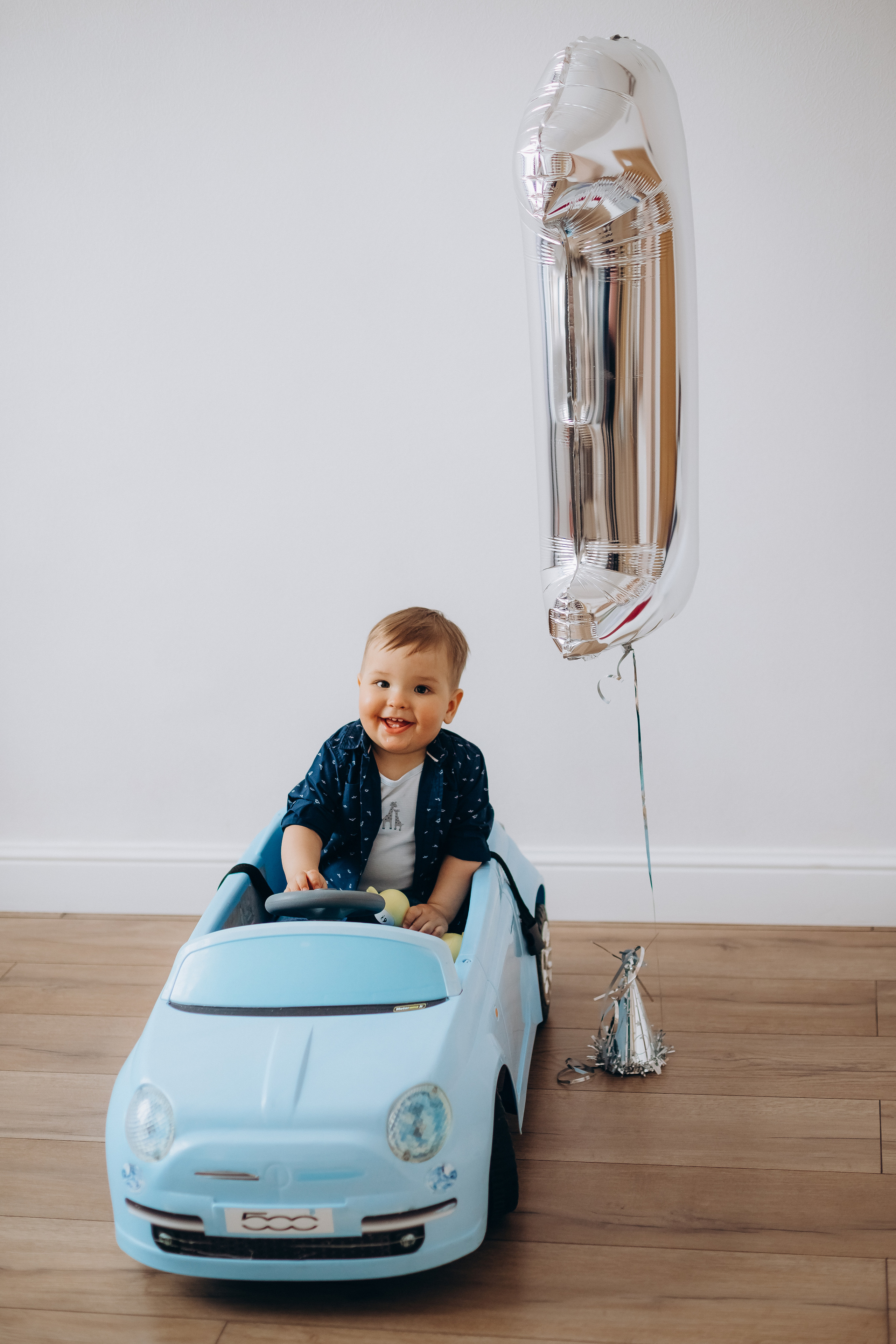 Льву 1 годик. Фотограф Карпачан Анастасия