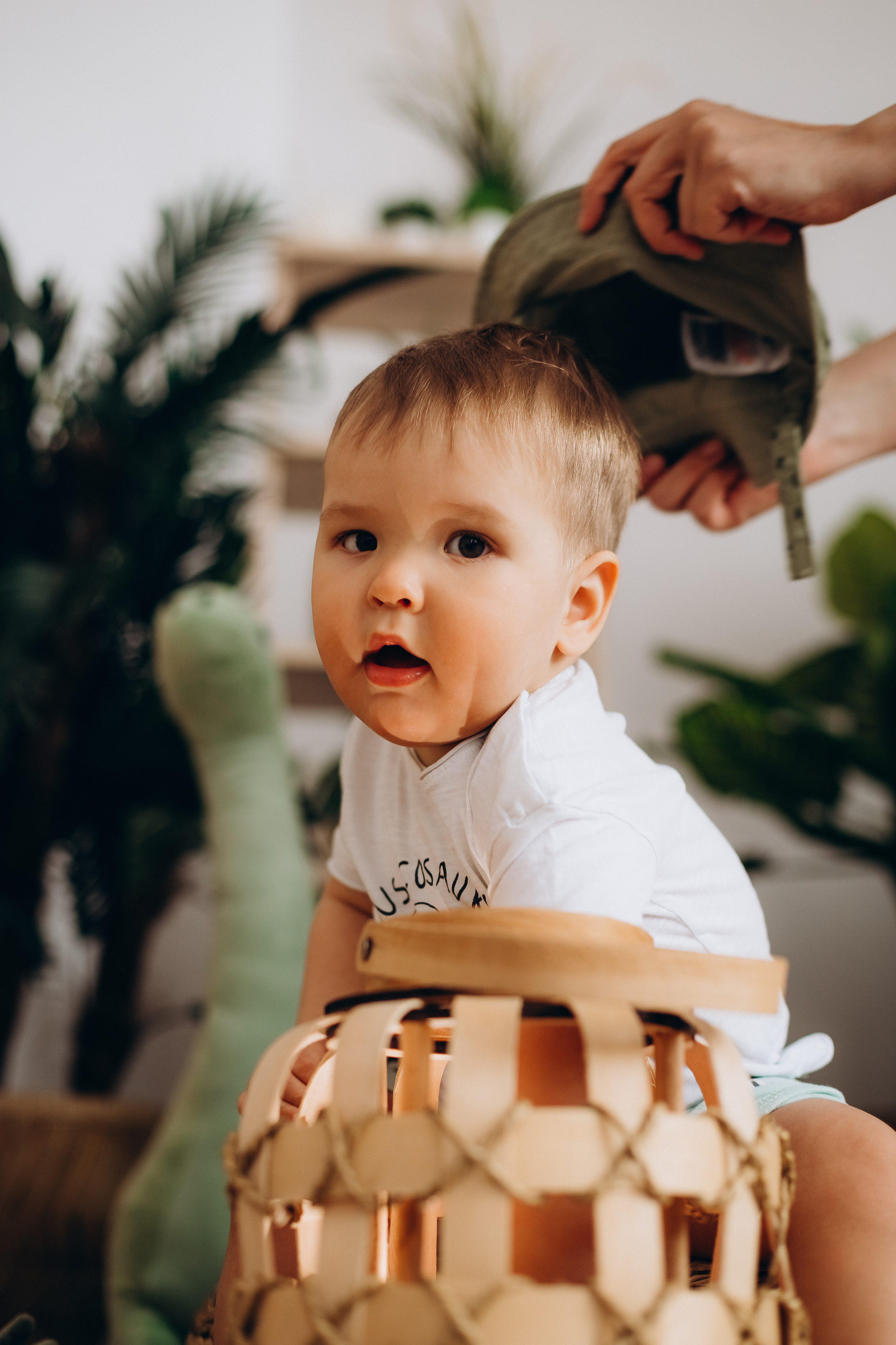 Льву 1 годик. Фотограф Карпачан Анастасия