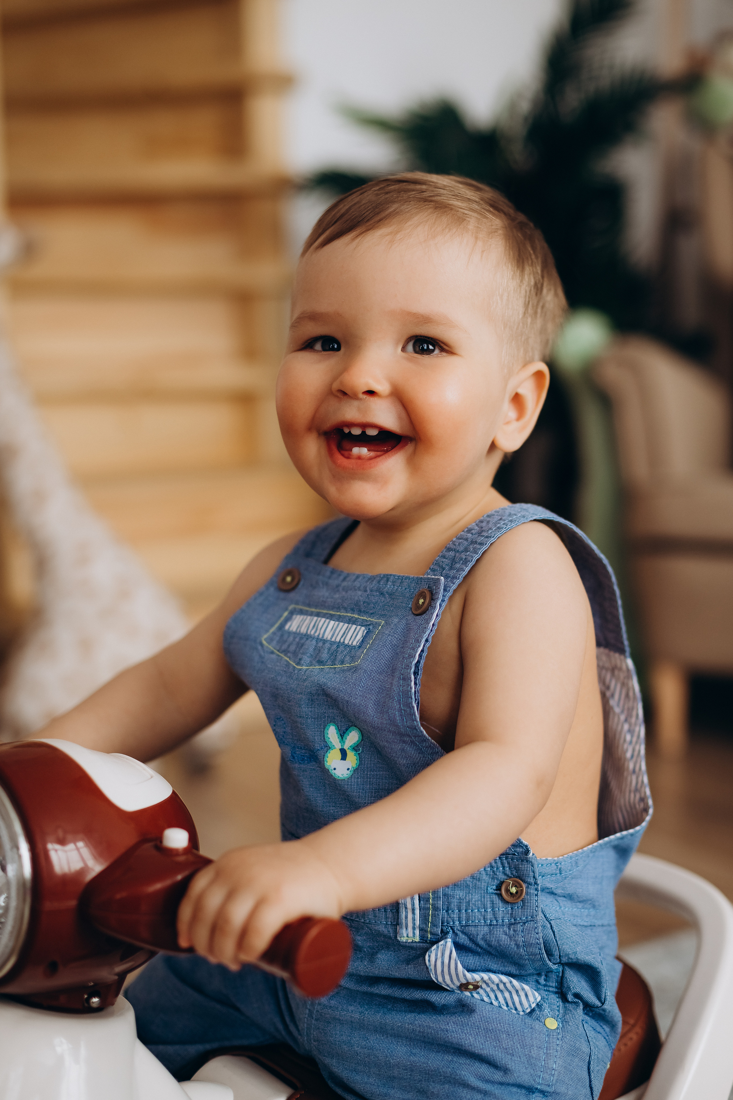 Льву 1 годик. Фотограф Карпачан Анастасия