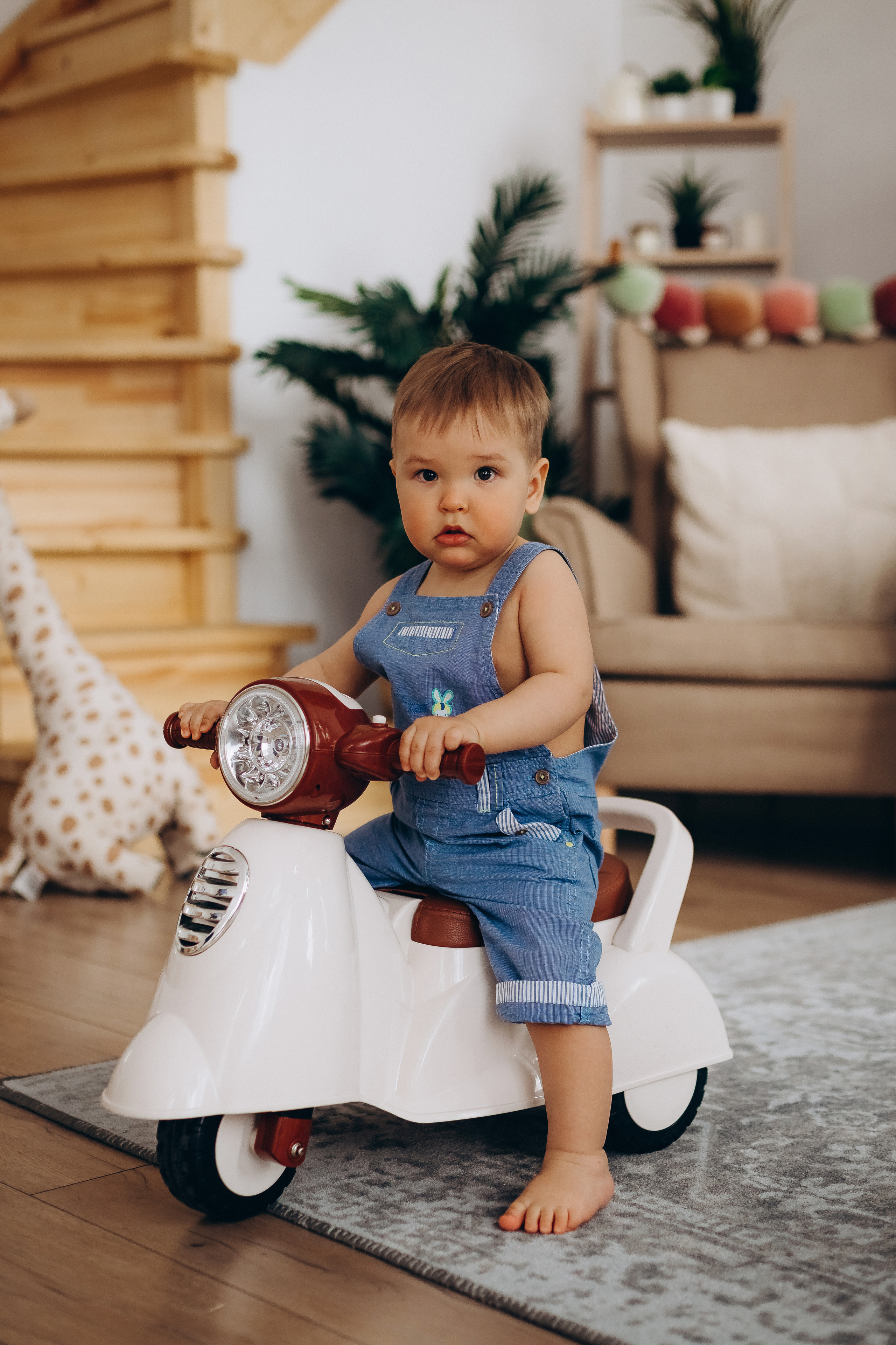 Льву 1 годик. Фотограф Карпачан Анастасия