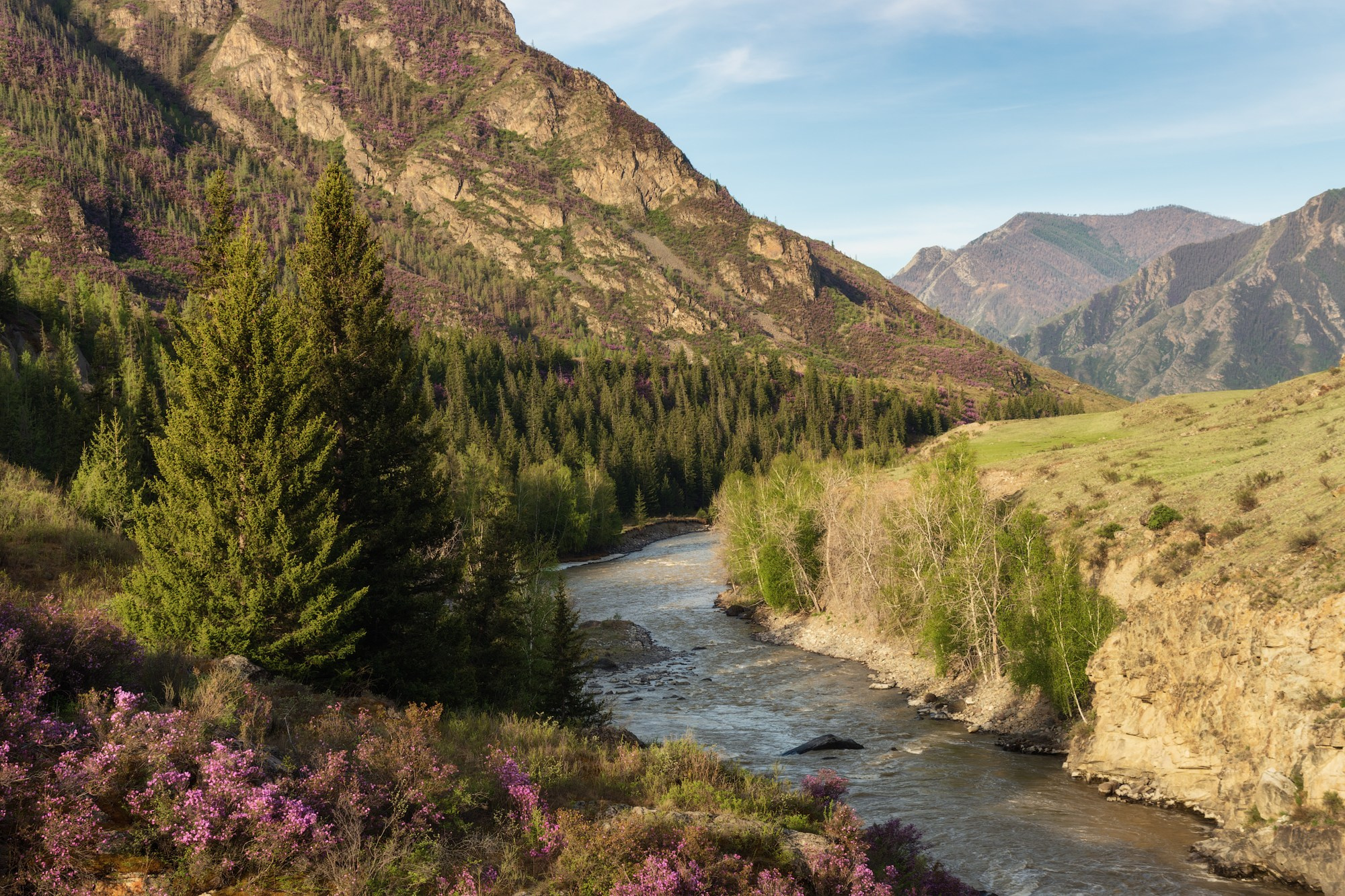 Время розовых склонов. Онгудайский район, река Чуя, май 2024