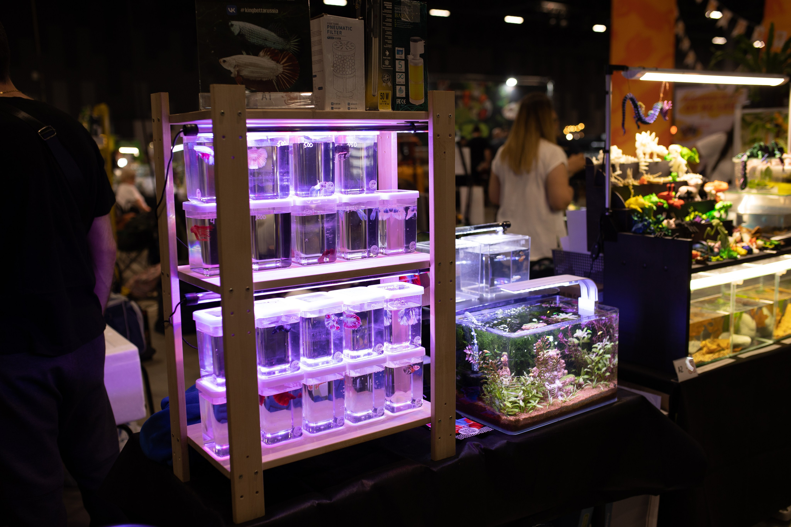 Рептилиум 2024. Александра Куликова фотограф, Москва