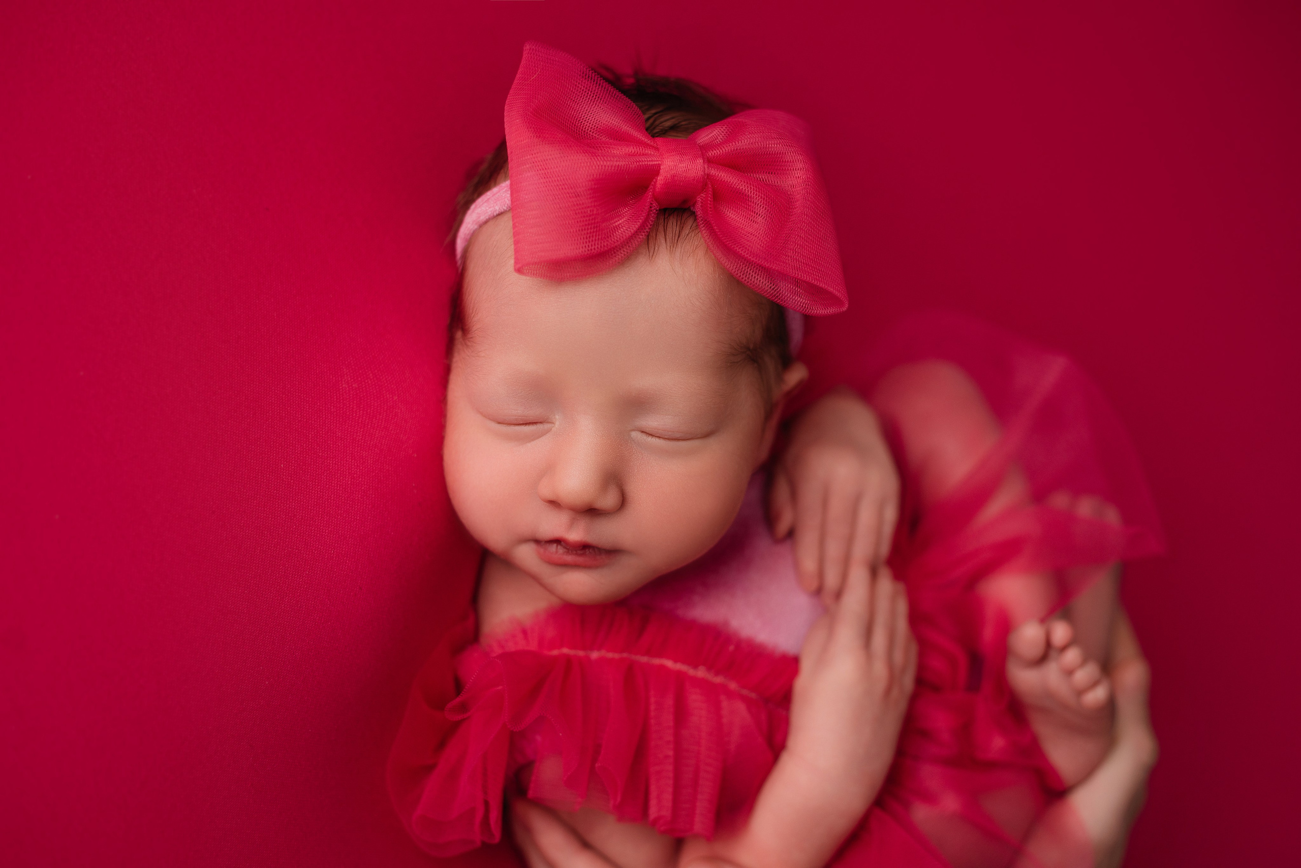 Эмилия. Фотограф новорожденных Белгород