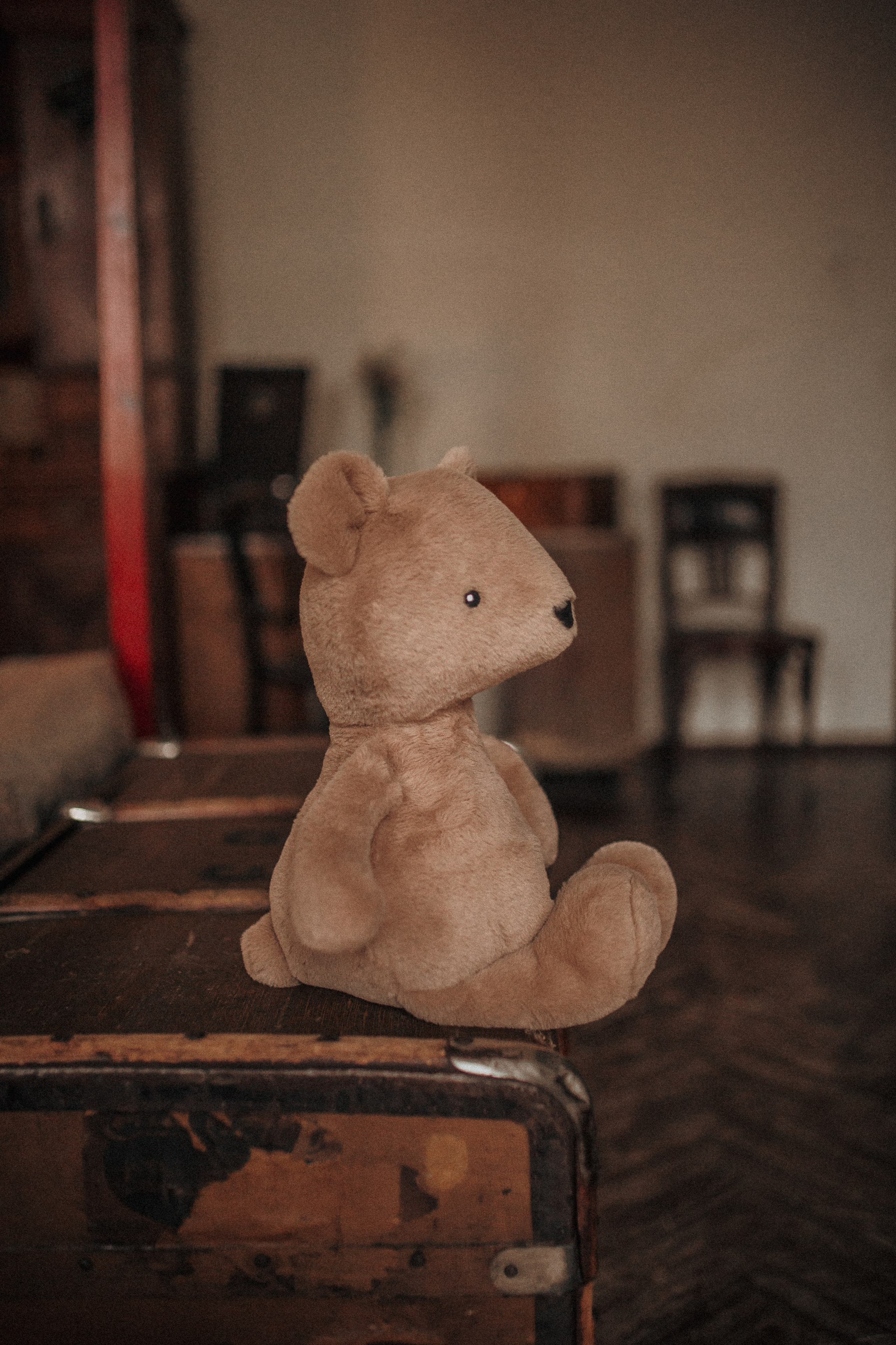 Есения. Семейный и Свадебный фотограф в Санкт-Петербурге Плохая Екатерина