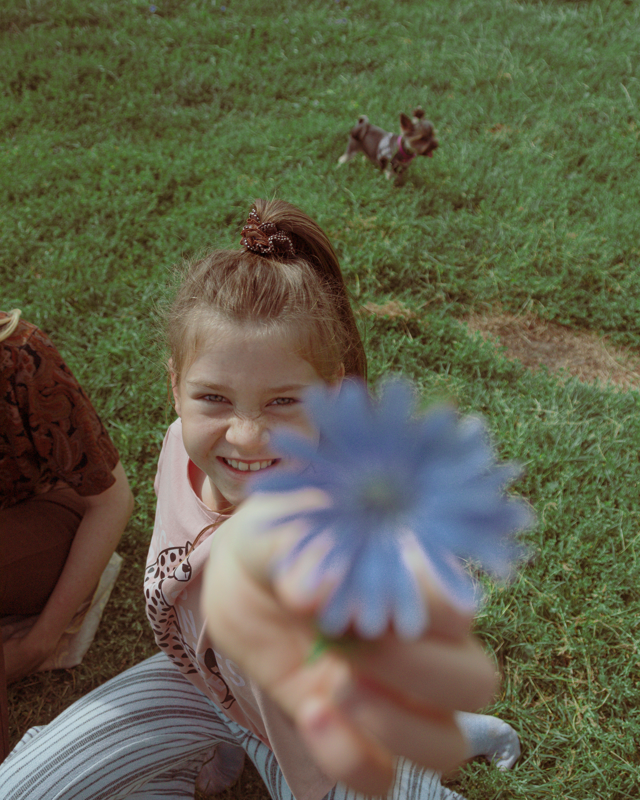 Семья. Photographer Barcelona