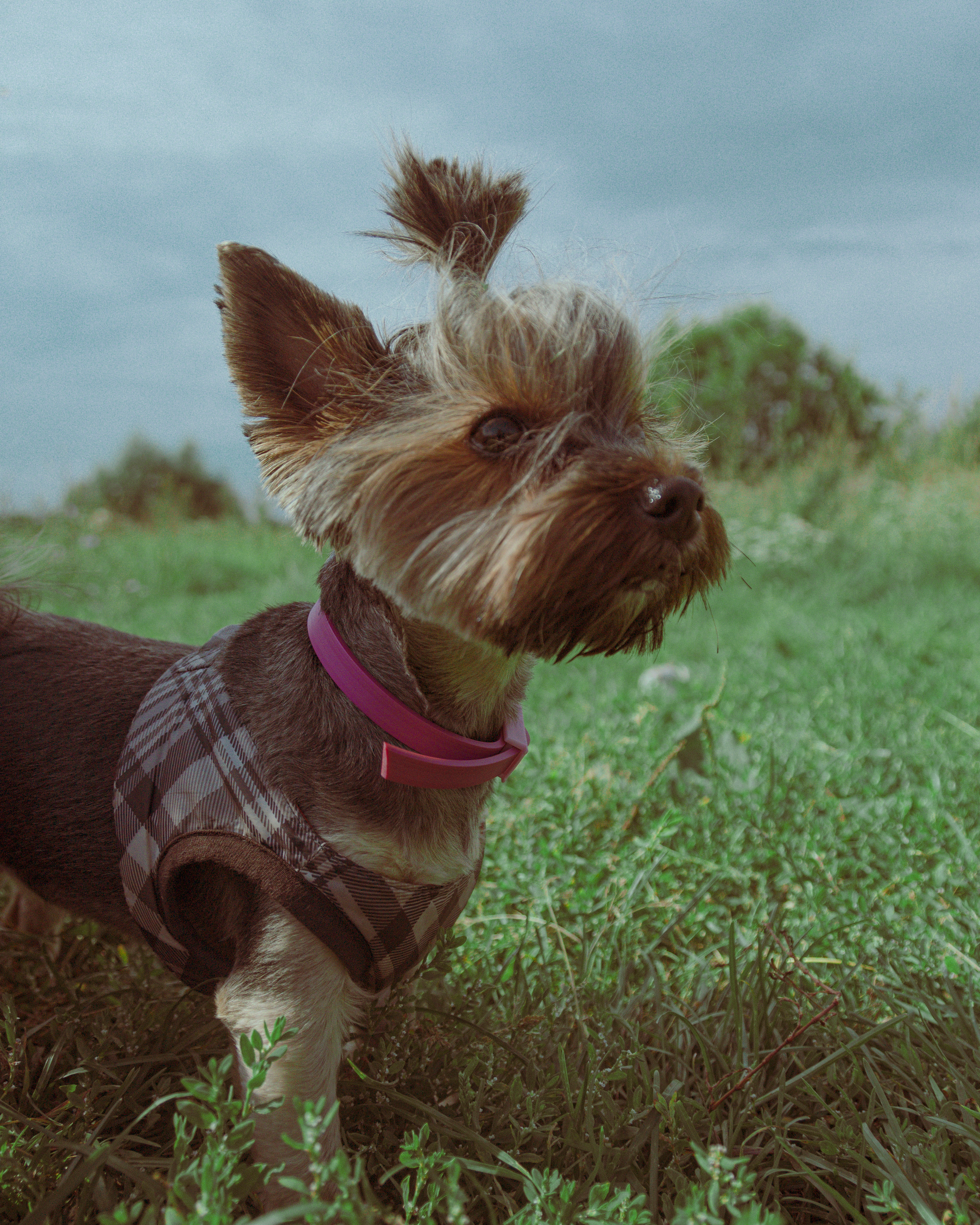 Семья. Photographer Barcelona