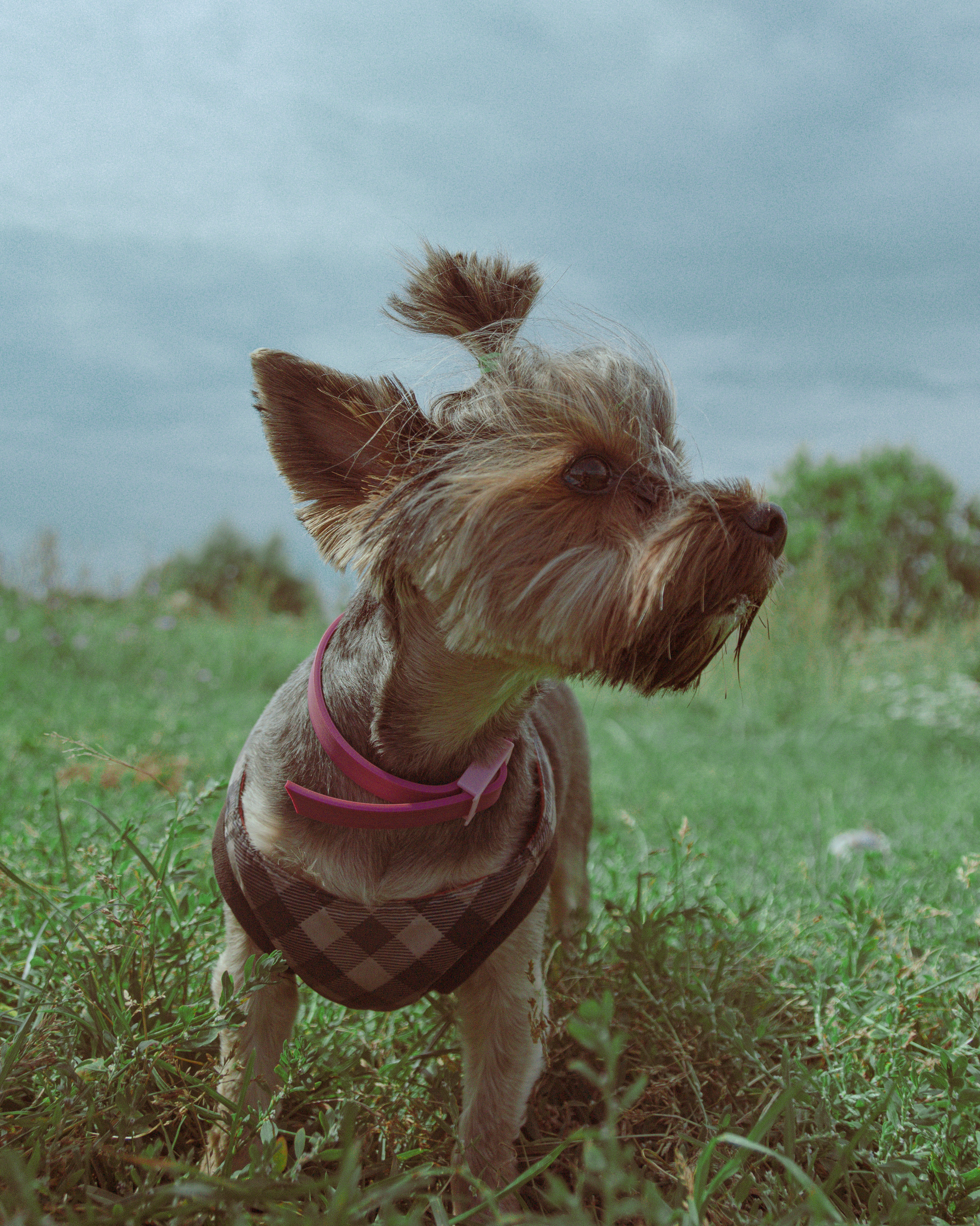 Семья. Photographer Barcelona