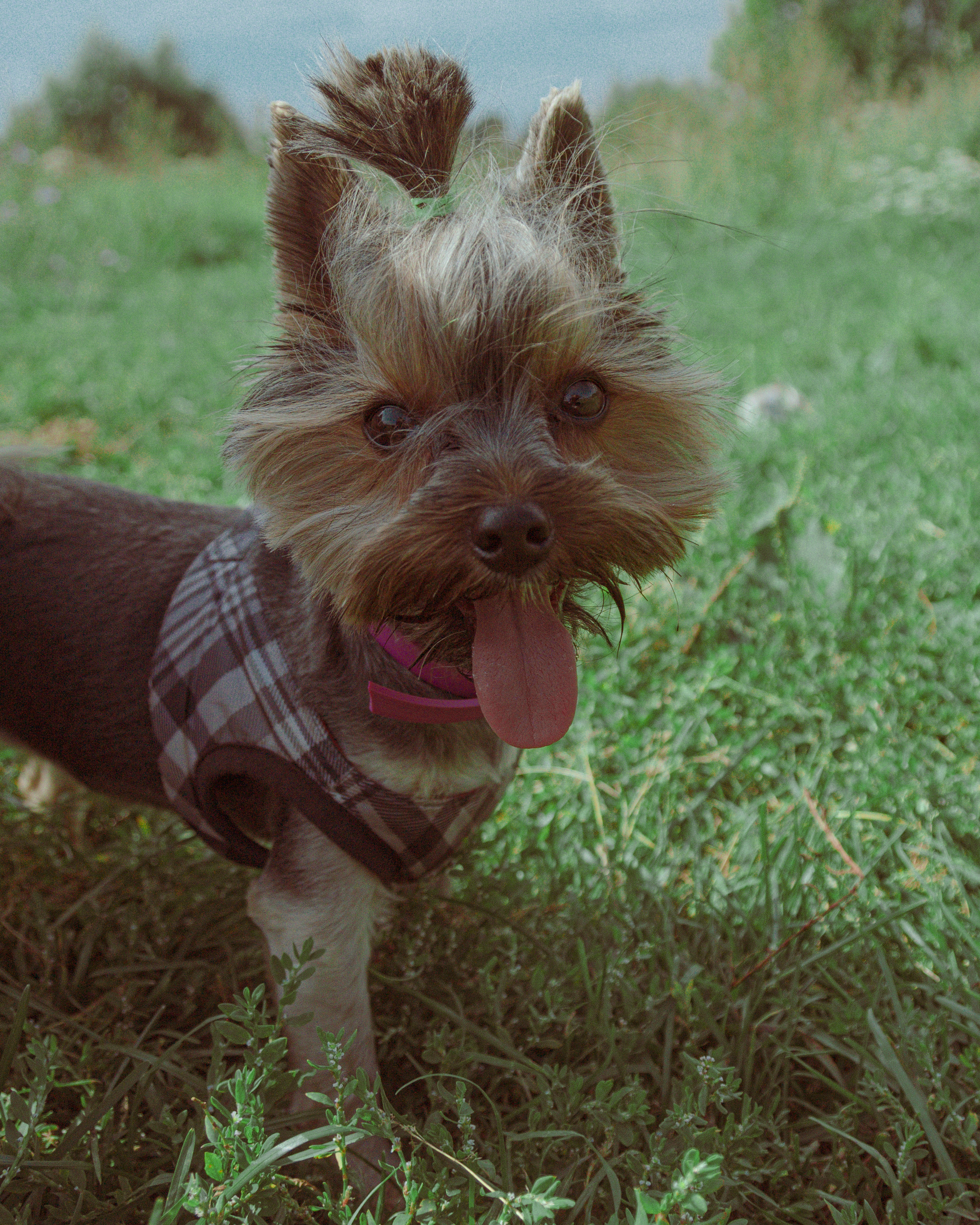 Семья. Photographer Barcelona