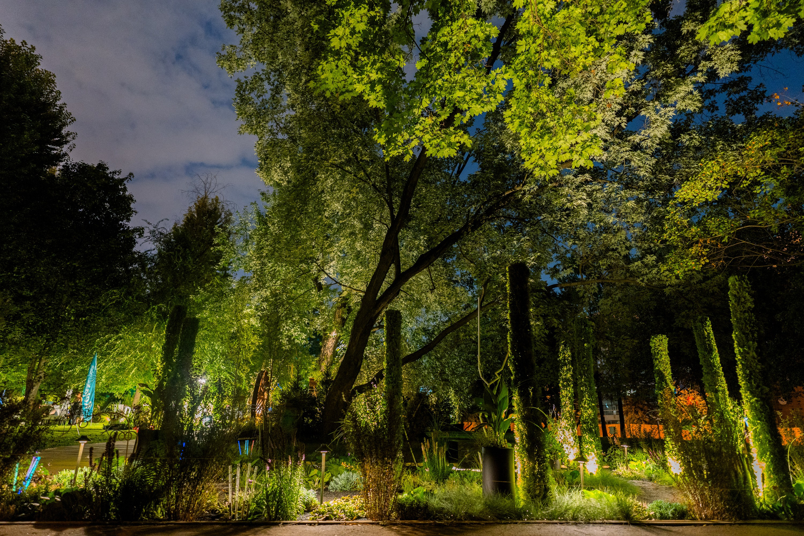 Сад Плеяд. Студия ландшафтного дизайна в Москве. Love My Garden