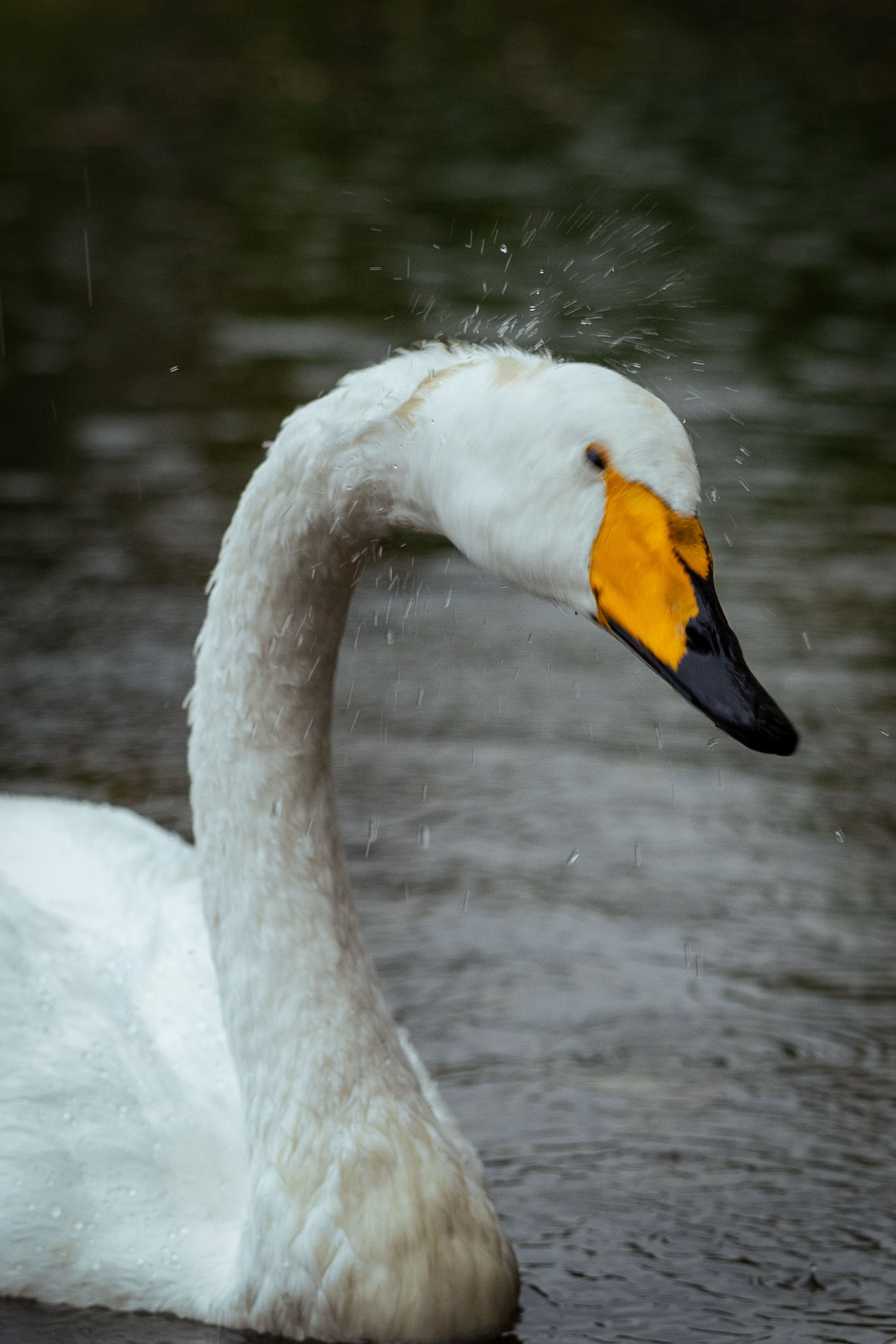 Казахстан (осень 2024). Фотограф Виноградов Константин