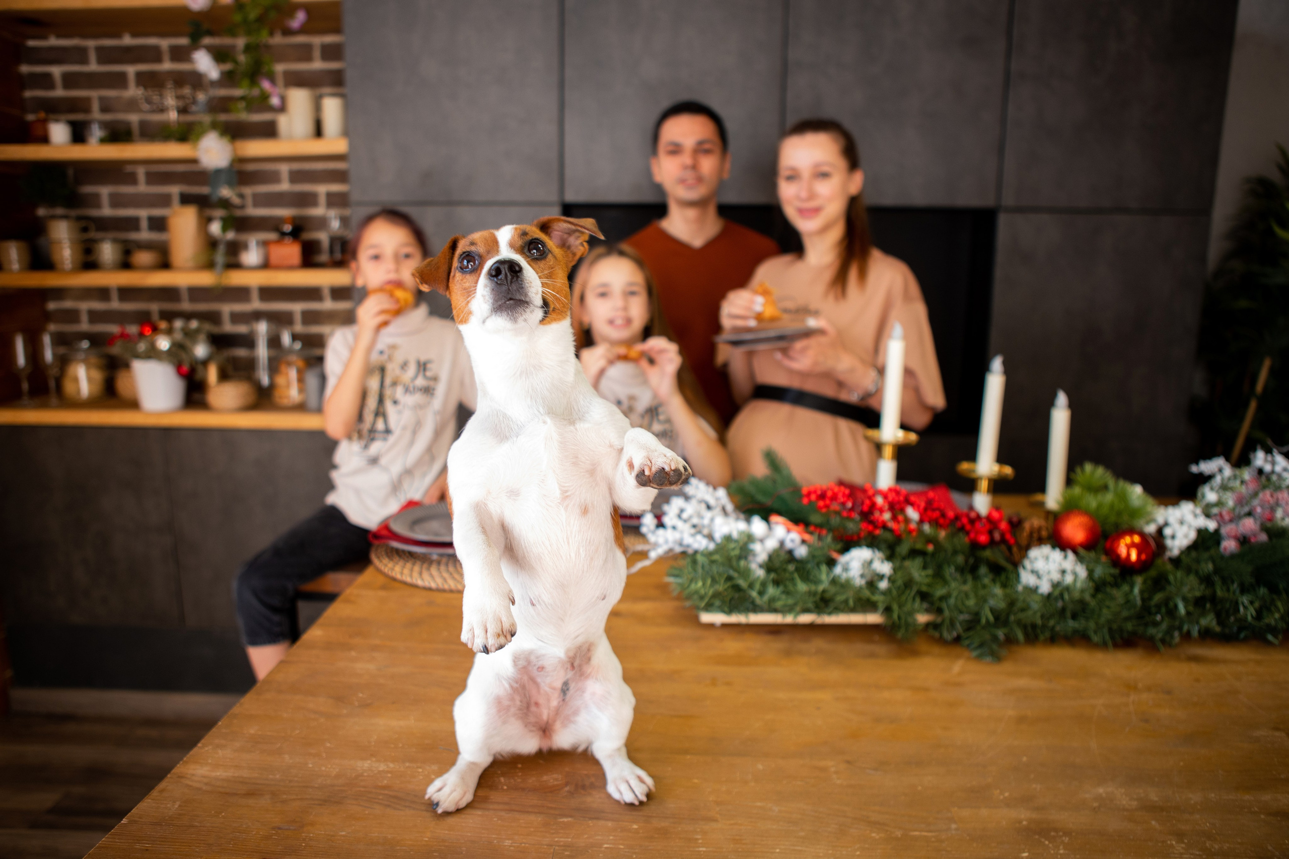Фотосессия в студии. Фотограф в Москве Наталья Реуцкая