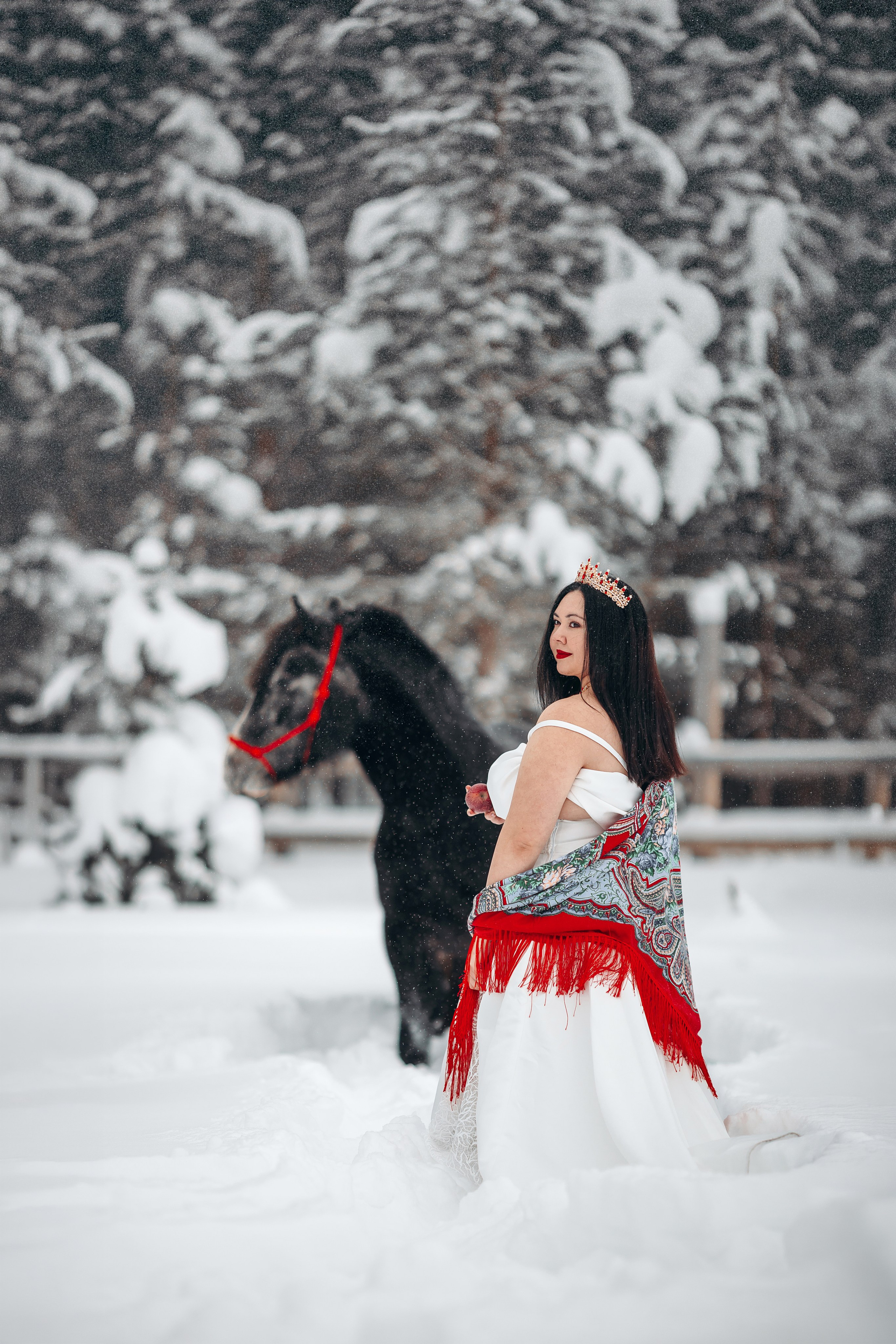 Яблоки на снегу. Анна Молчанова конный фотограф в Тюмени | фотосессии с лошадьми Тюмень