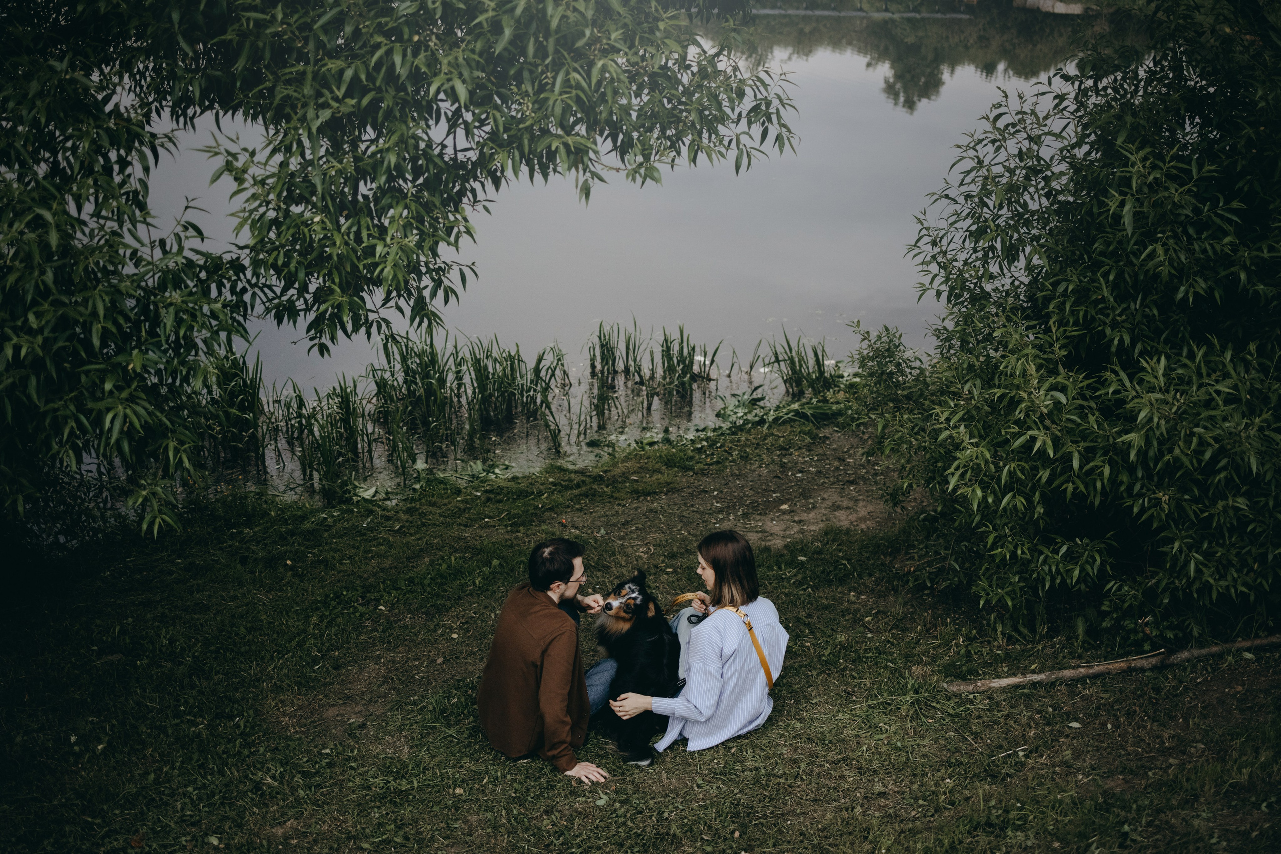 Настя, Никита и их Гром и Мяу. Фотограф — Анималист | Санкт-Петербург