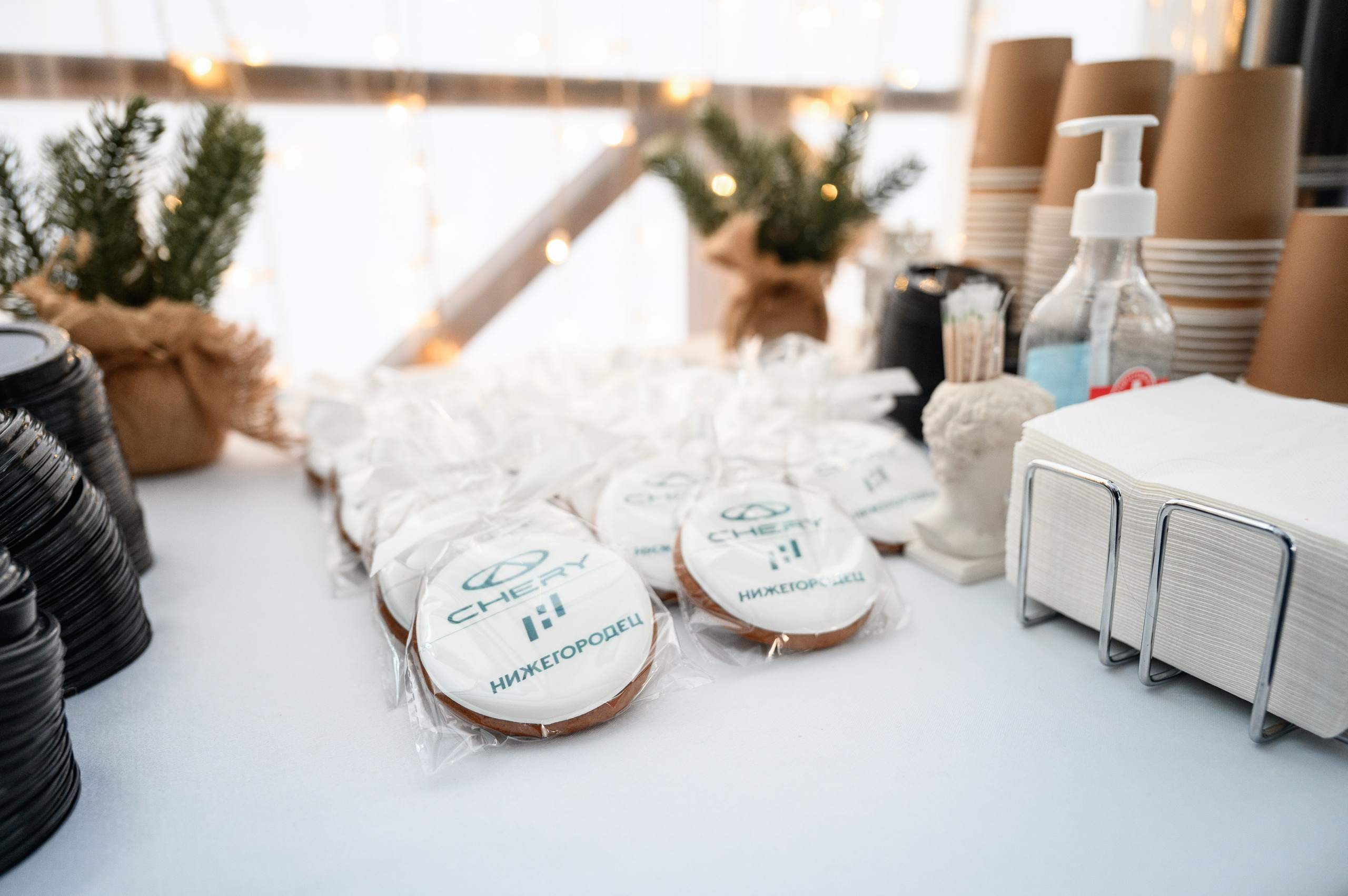 Презентация Cherry Tiggo 9 x Ильдорф. Фотограф Захваткин Роман