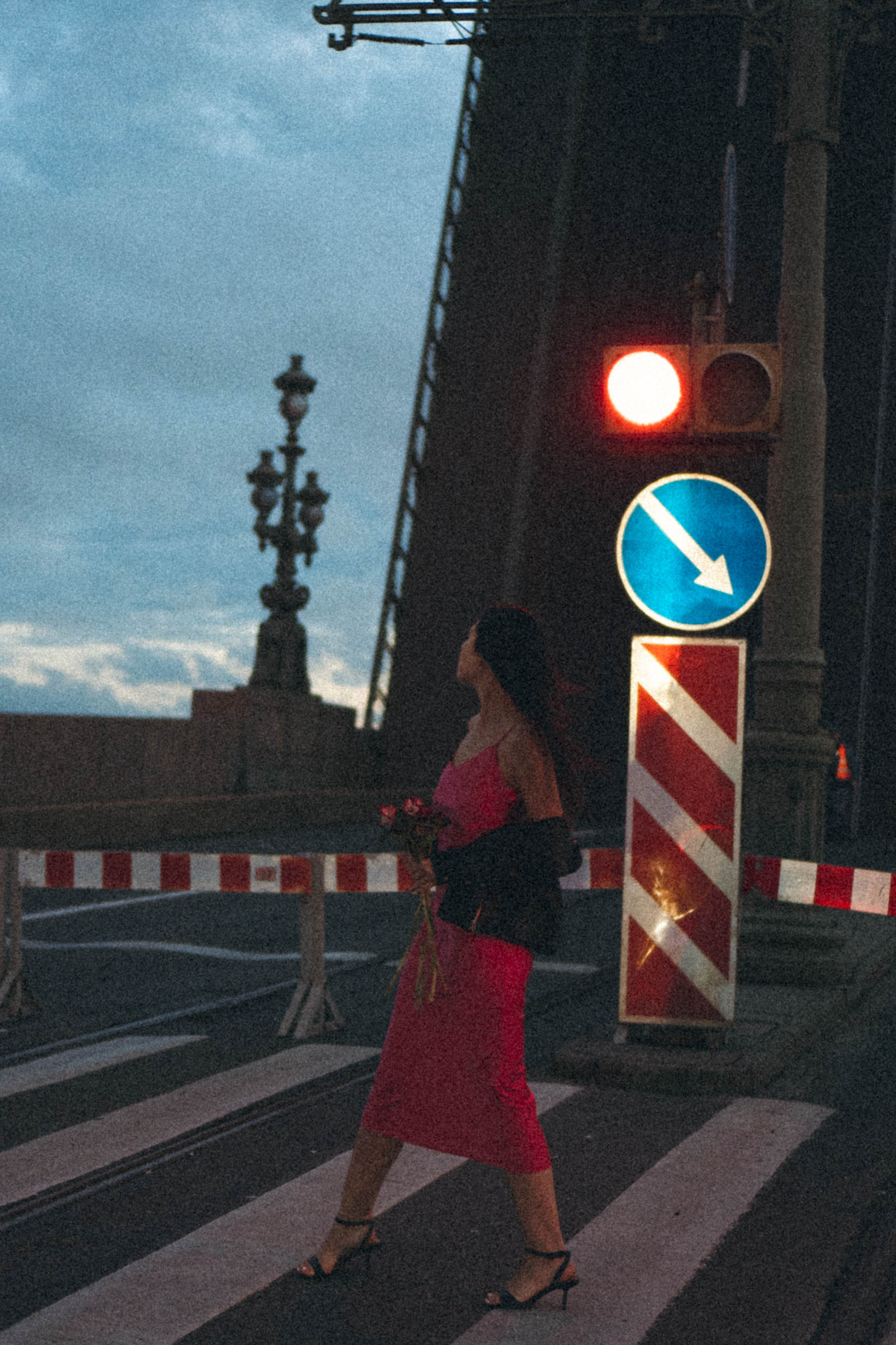 Ночная серия. Профессиональный фотограф, Санкт-Петербург — Виктория Богомолова