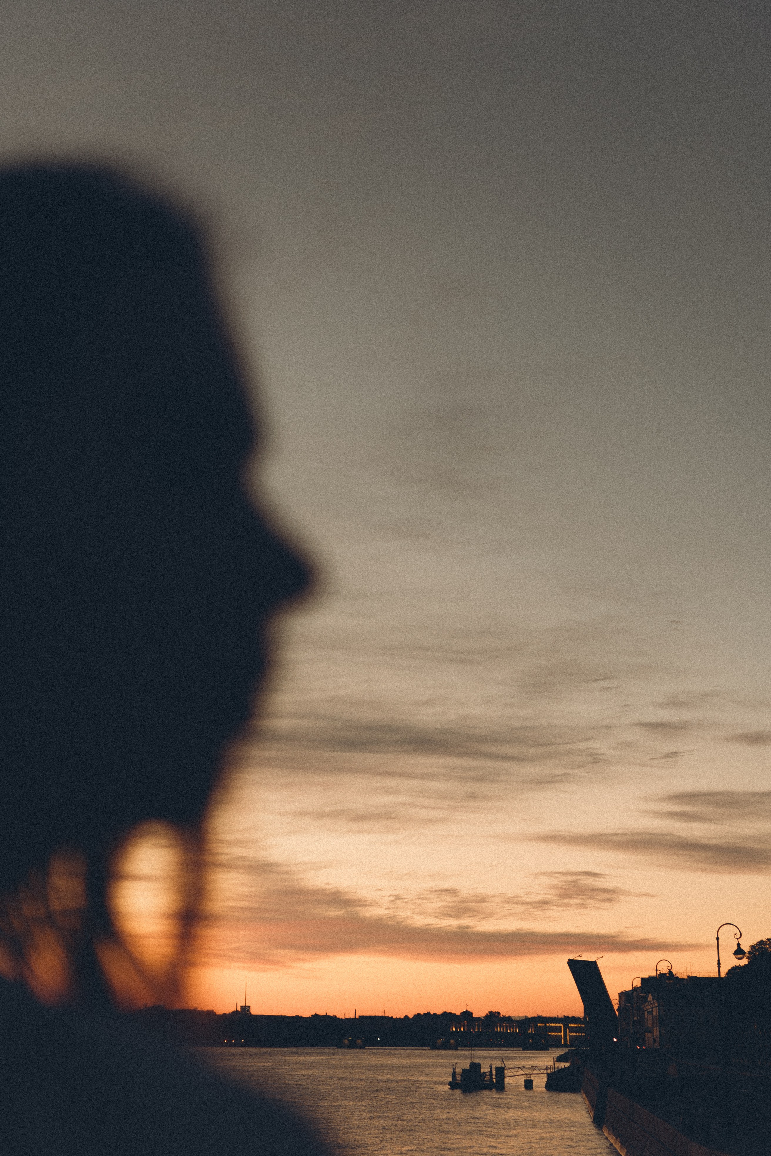 РАССВЕТ С РАЗВОДНЫМИ МОСТАМИ. Профессиональный фотограф, Санкт-Петербург — Виктория Богомолова