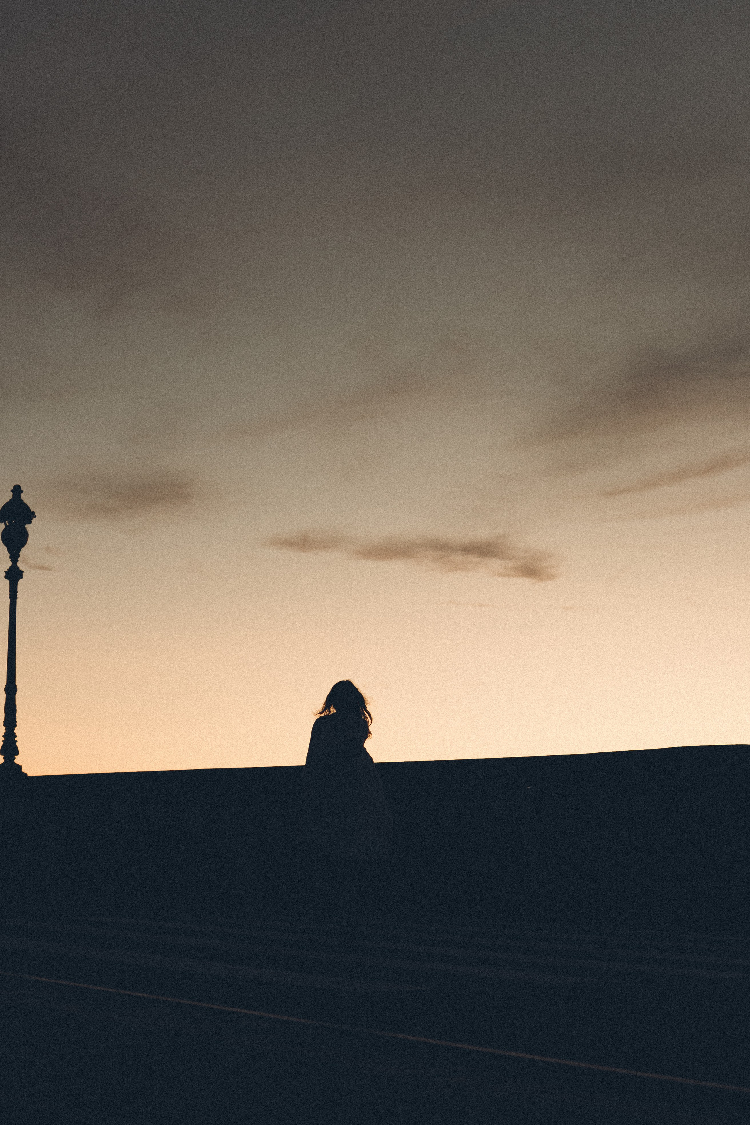 РАССВЕТ С РАЗВОДНЫМИ МОСТАМИ. Профессиональный фотограф, Санкт-Петербург — Виктория Богомолова