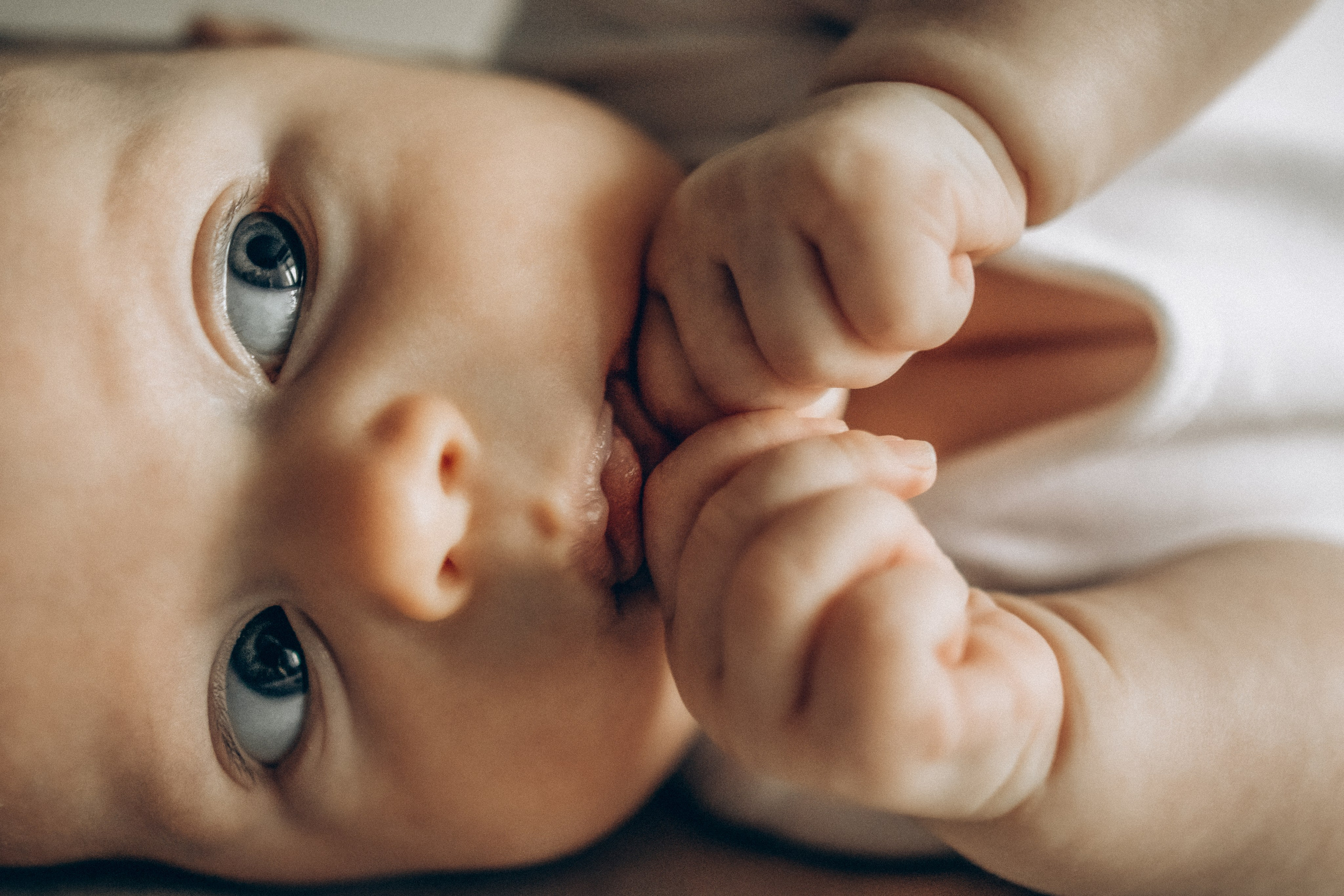 1. Фотограф Тарасюк Оксана