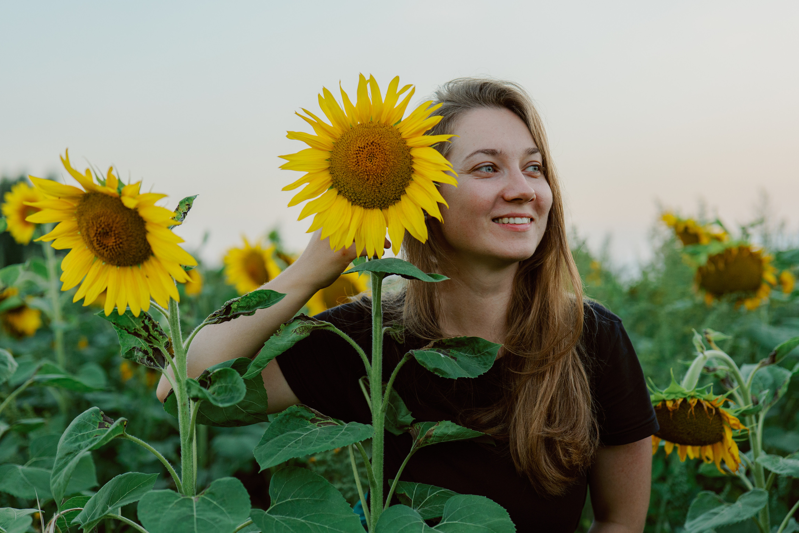 Портрет в подсолнухах