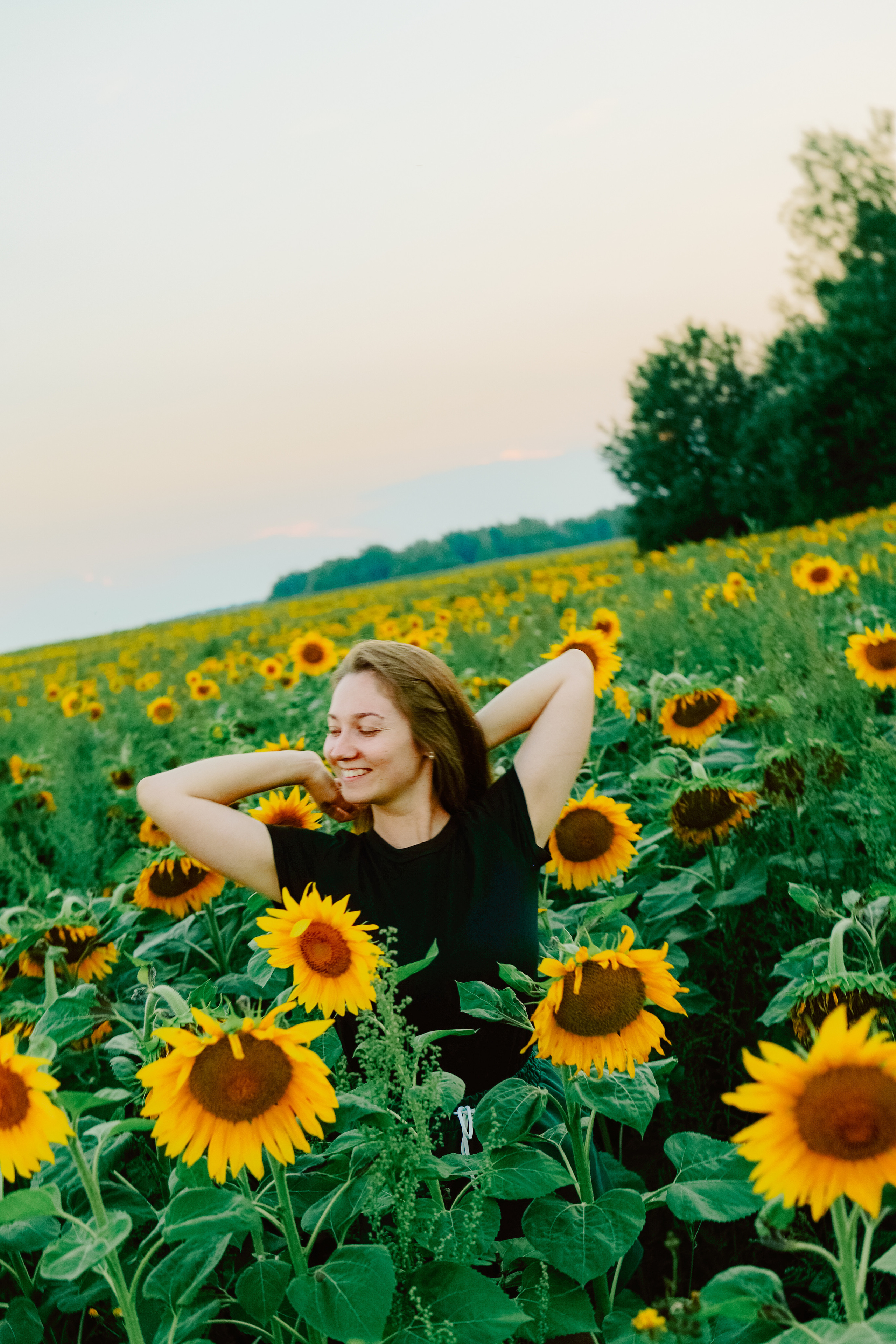 Портрет в подсолнухах