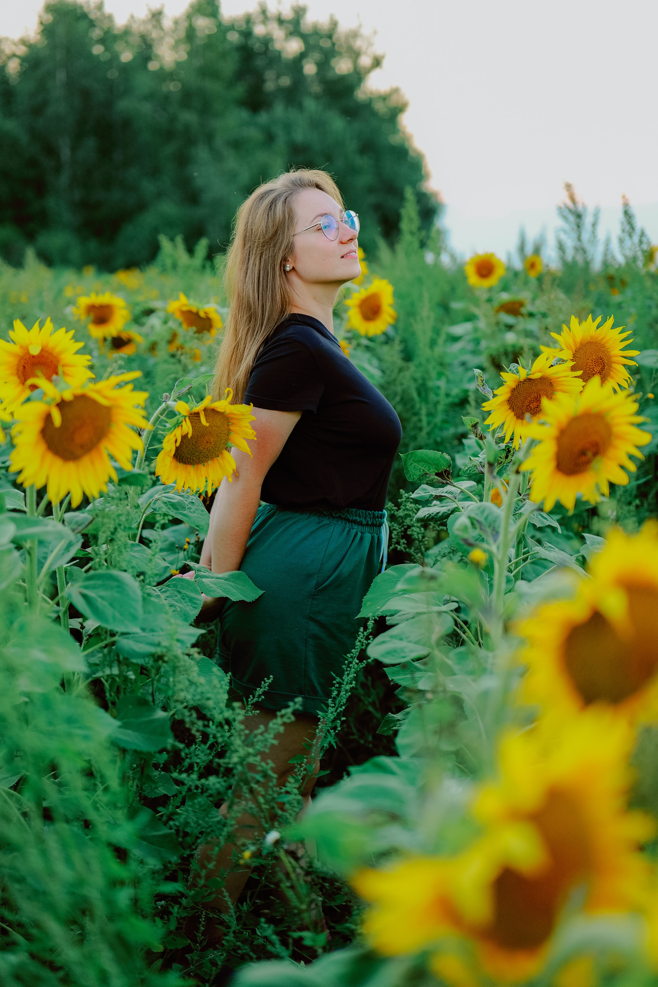 Портрет в подсолнухах