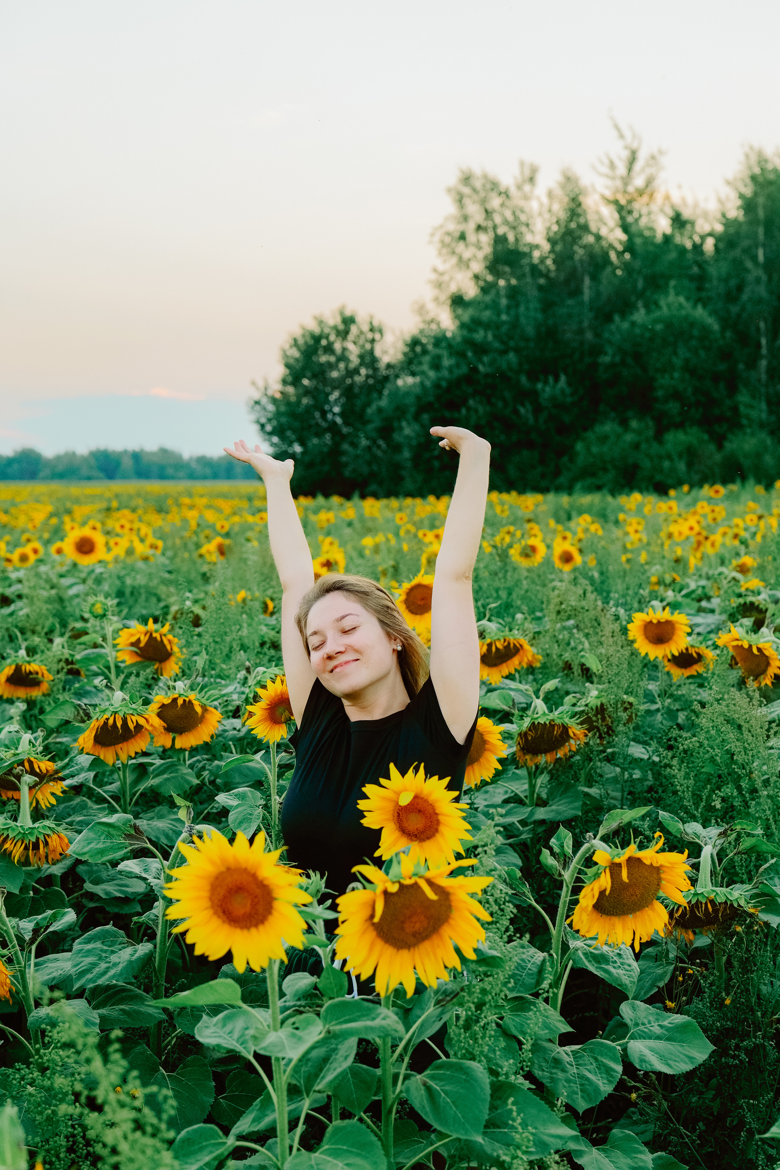 Портрет в подсолнухах