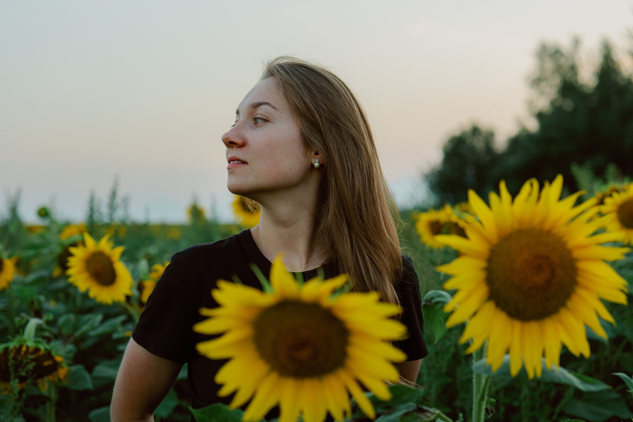 Портрет в подсолнухах