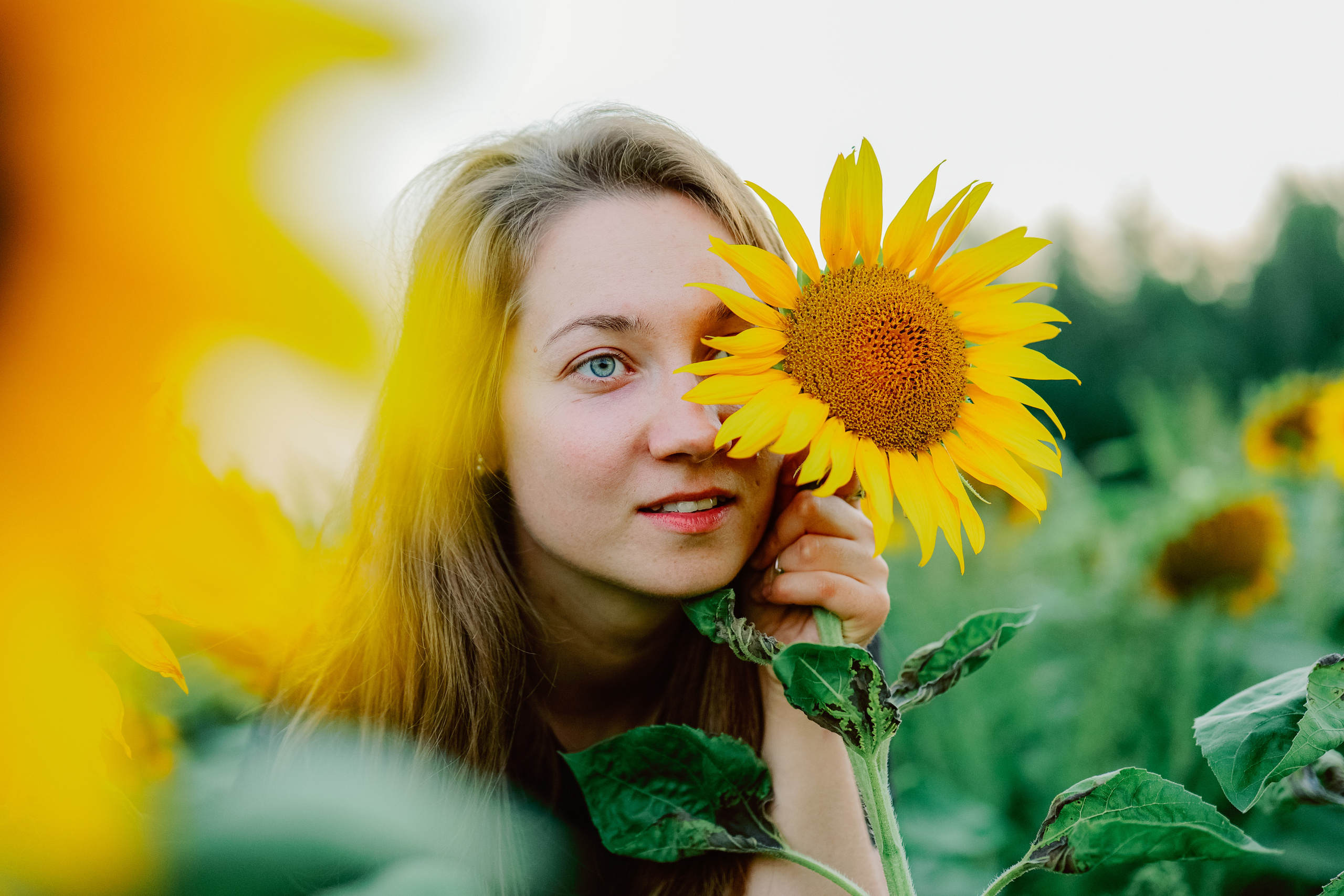 Портрет в подсолнухах