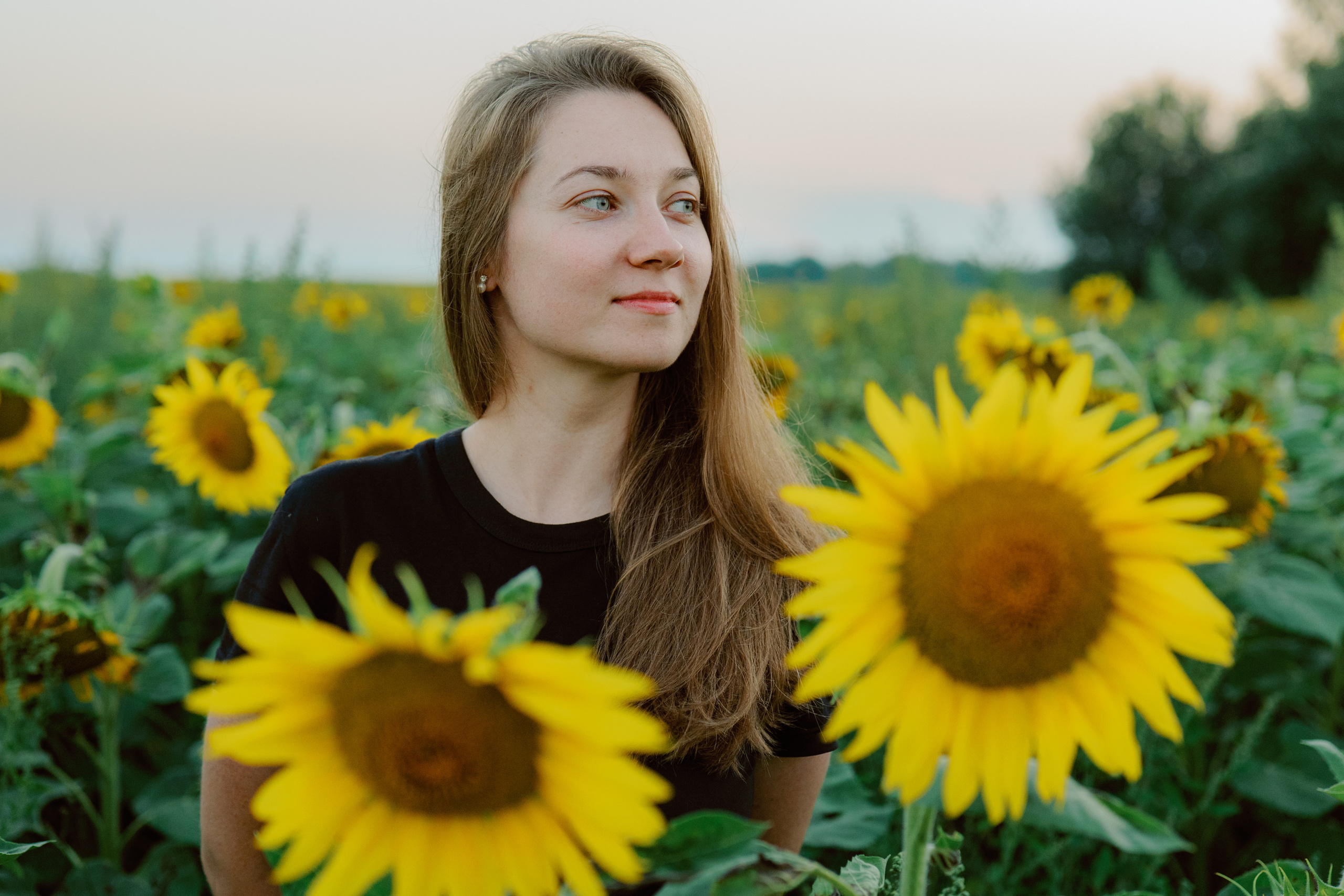 Портрет в подсолнухах