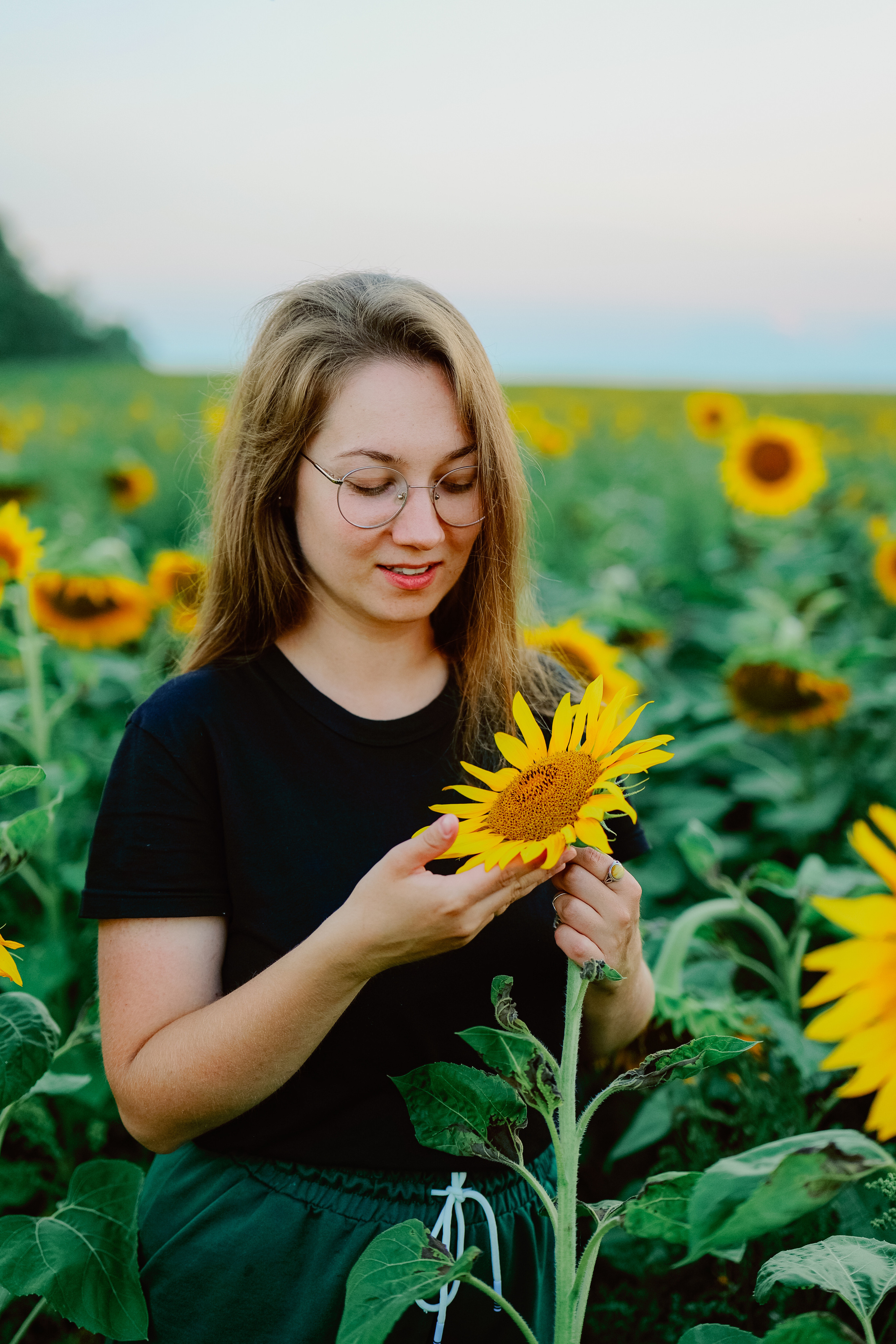 Портрет в подсолнухах