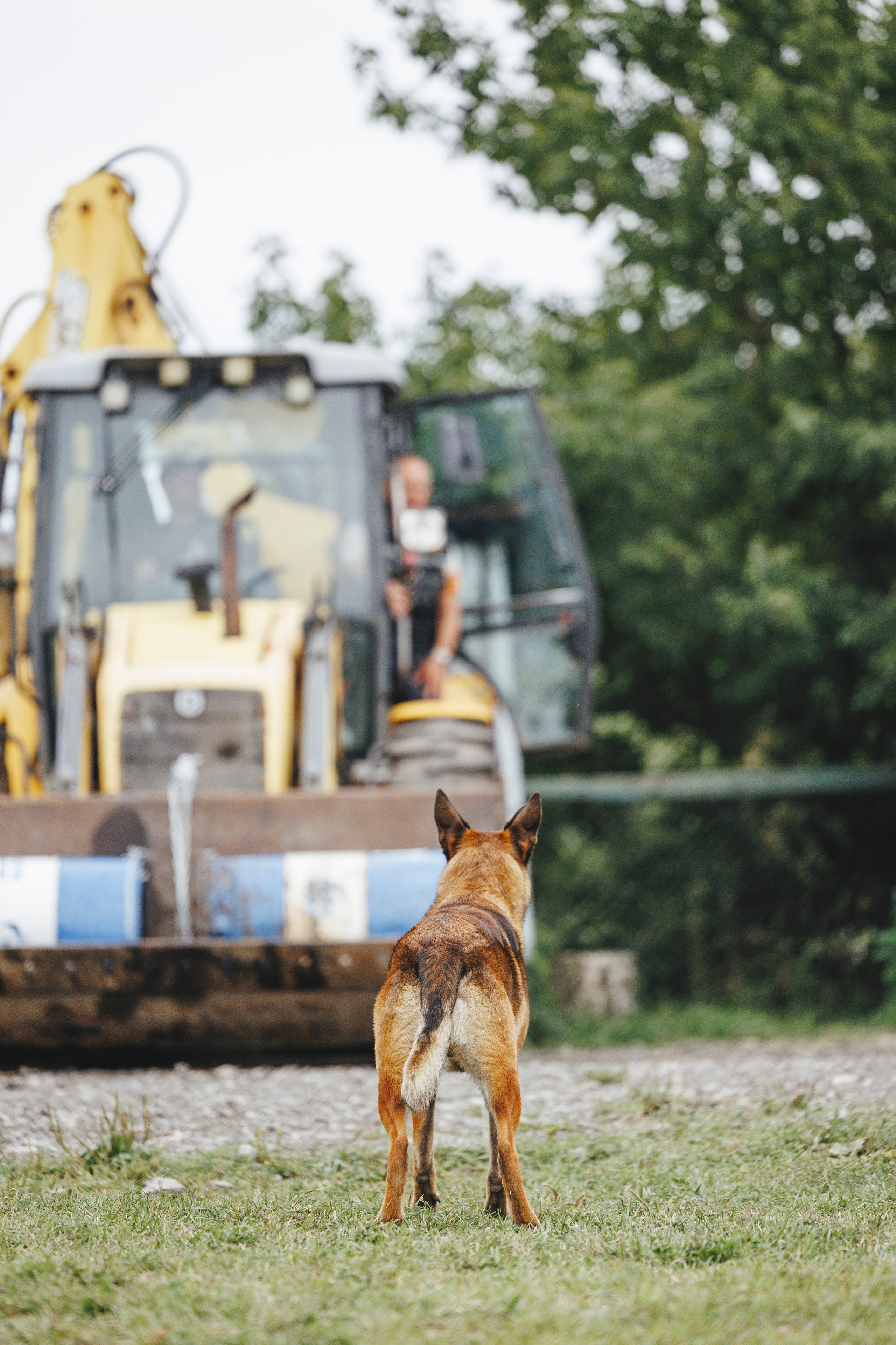 08.08.25-10.08.25 ЧР по мондьорингу г. Вологда. Фотограф-анималист Анна Маринич
