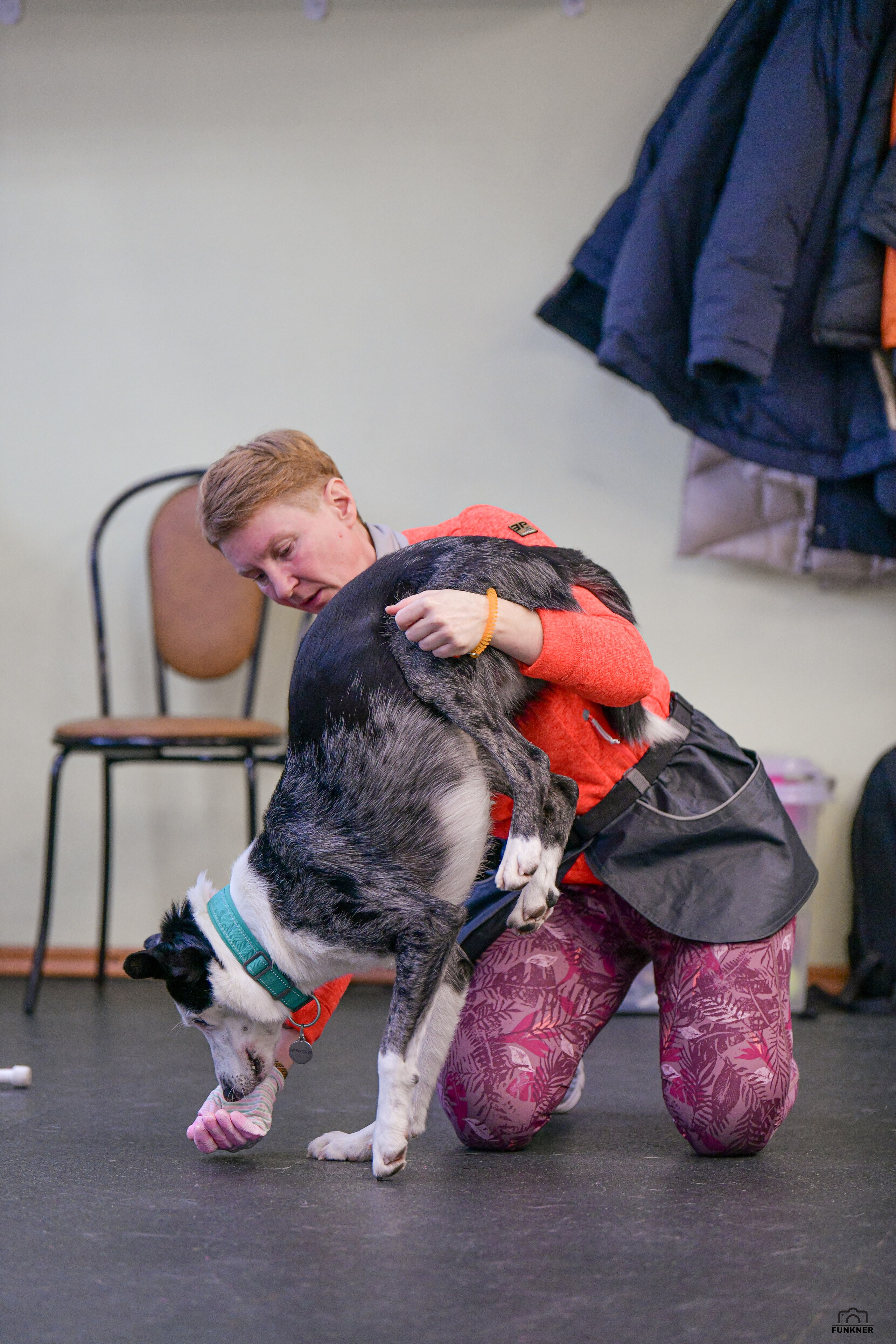Кинологический клуб «Бодрый хвост». Свой взгляд через объектив