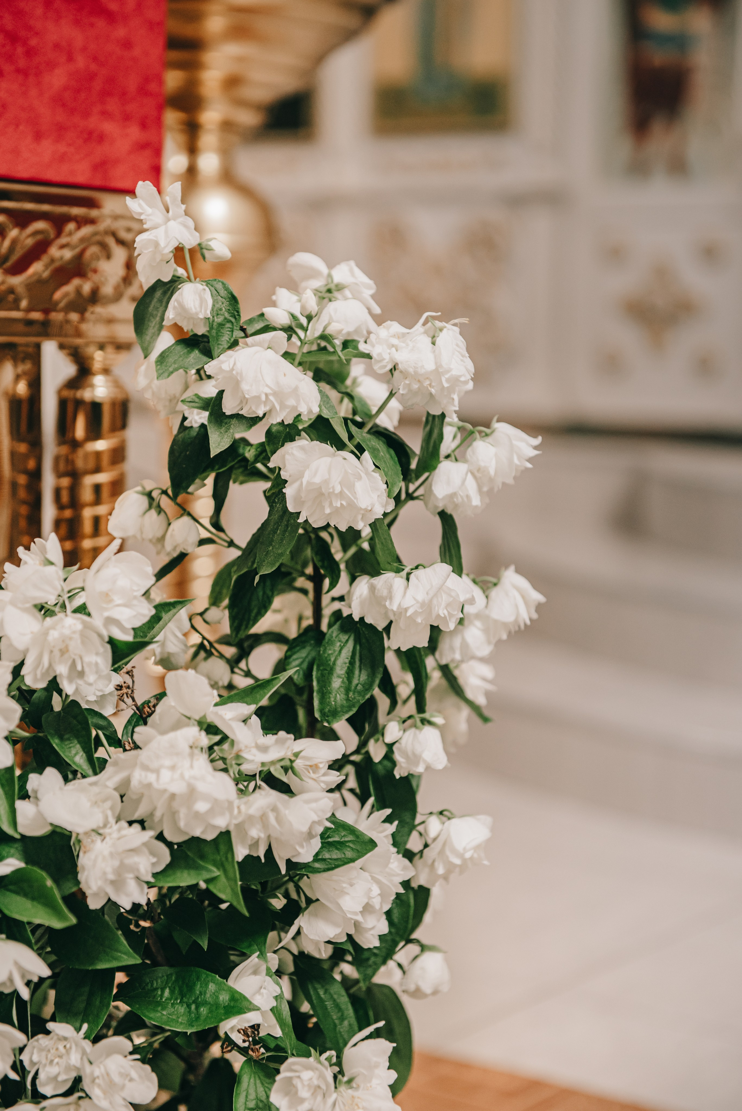 Крещение Мирославы. Фотограф в Краснодаре Зеленкина Дарья