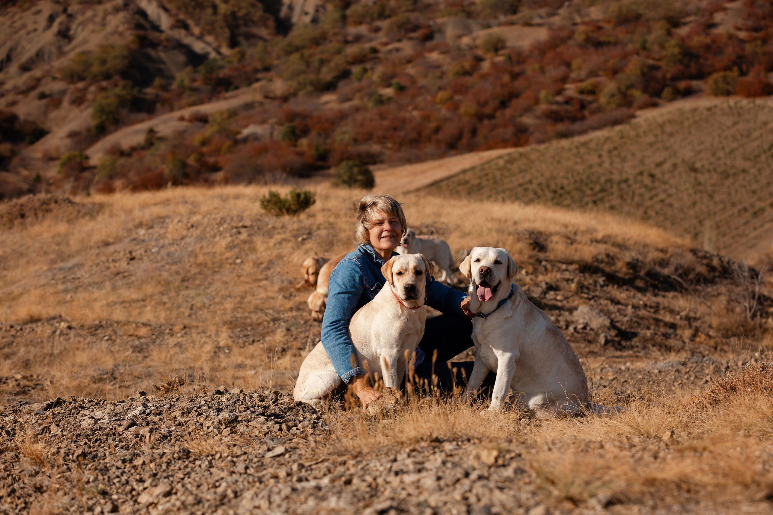 Лабрадоры и горы. Фотограф-анималист в Краснодаре Маша Мельникова
