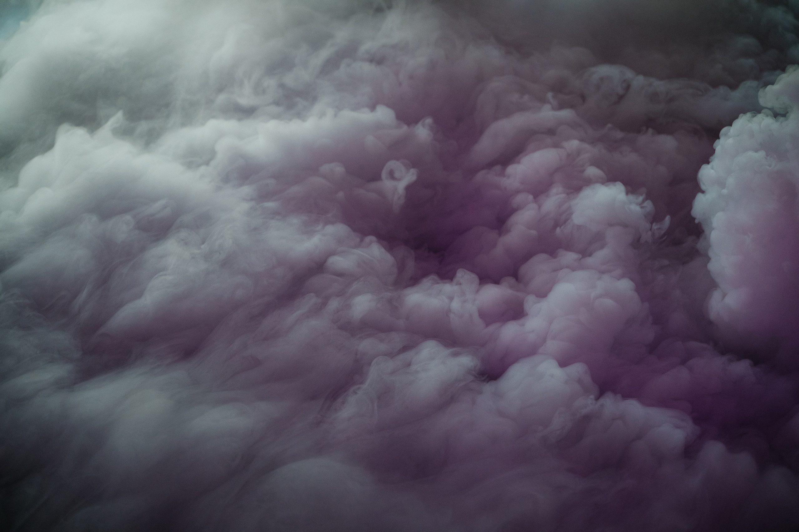 Wedding day #55. Свадебный, семейный фотограф в Рязани Лена Брант