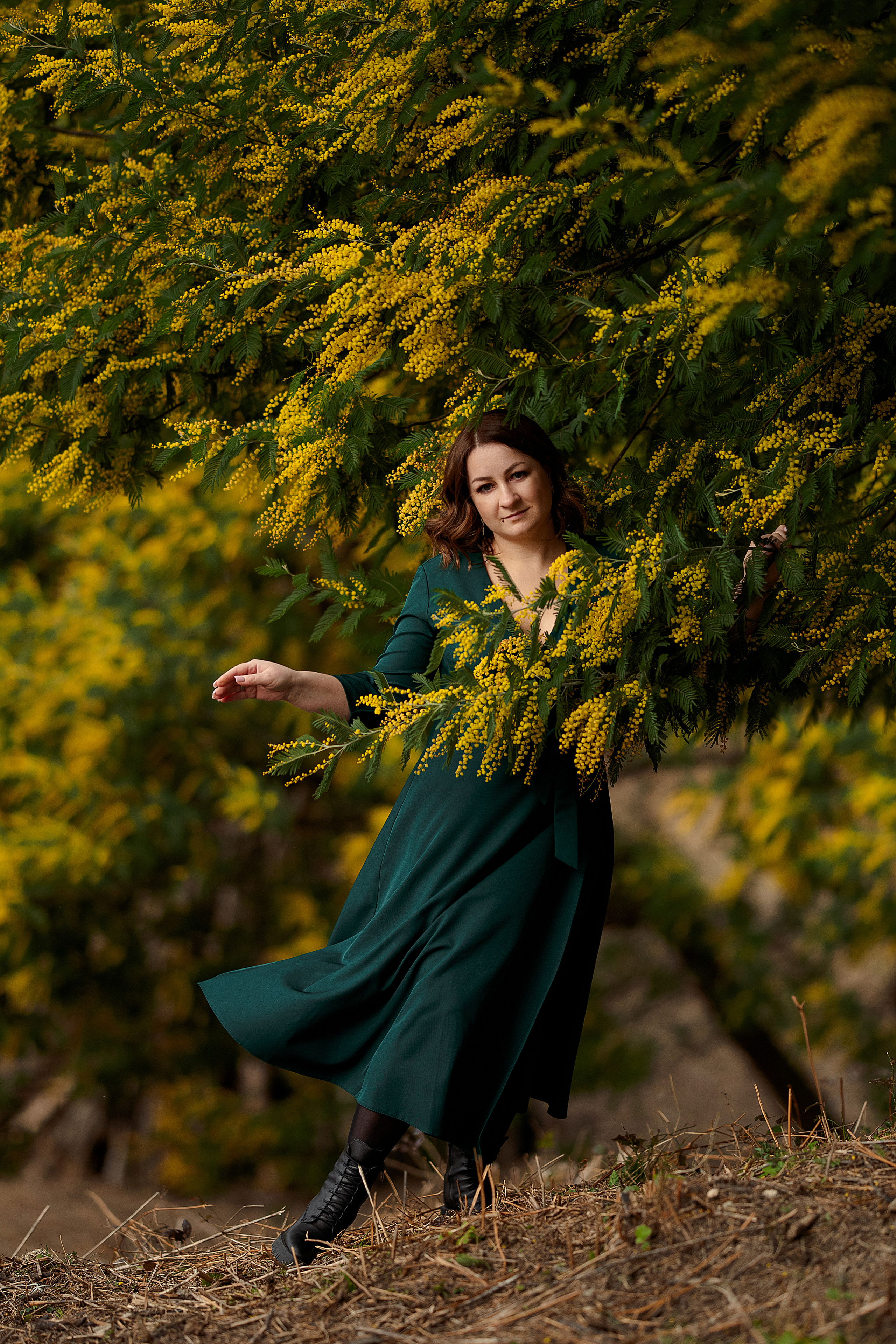 Дерево мимозы, цветение мимозы, женский портрет, цветущие сады. Свадебный фотограф Новороссийск Марина КрамарИна Полещук