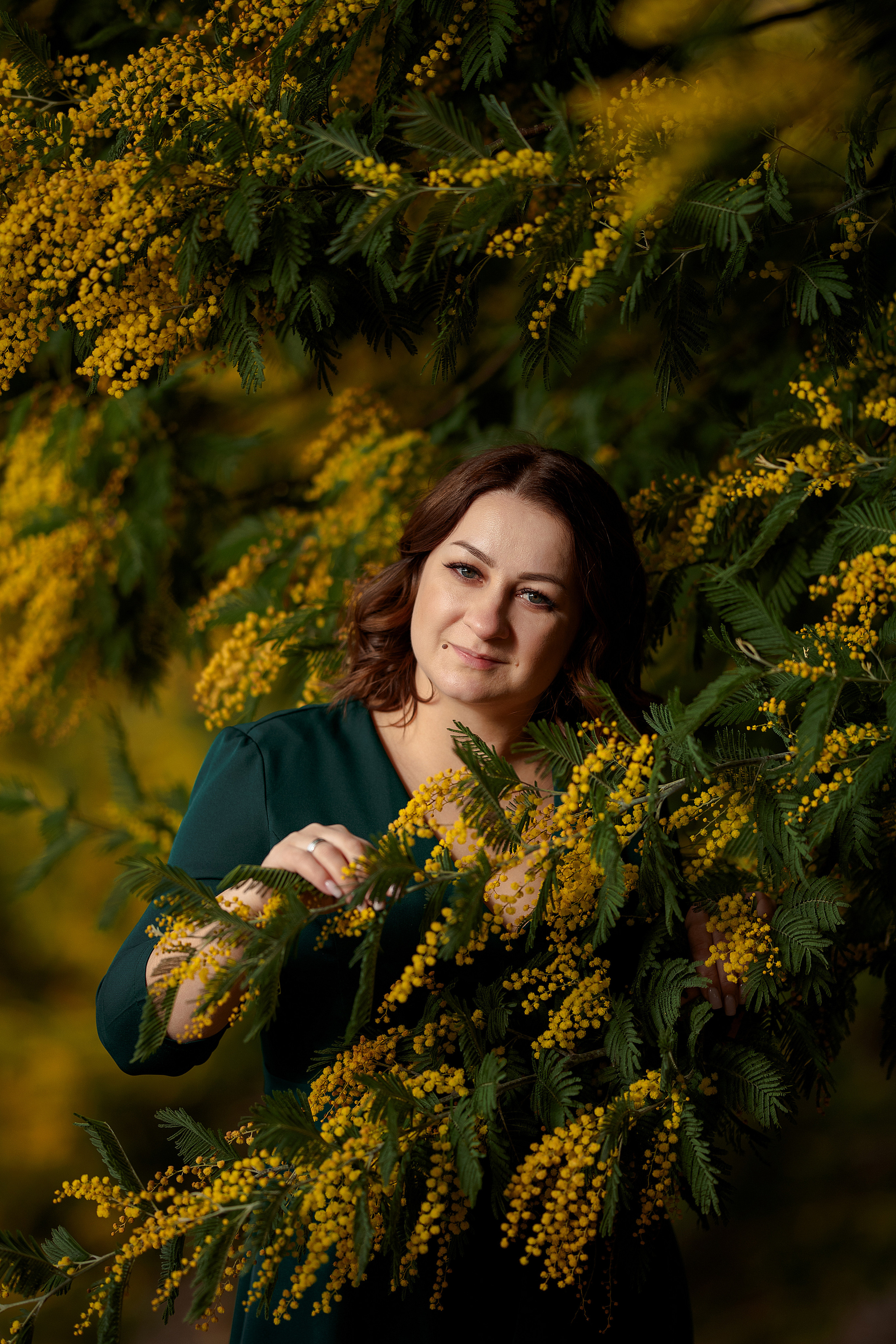 Дерево мимозы, цветение мимозы, женский портрет, цветущие сады. Свадебный фотограф Новороссийск Марина КрамарИна Полещук